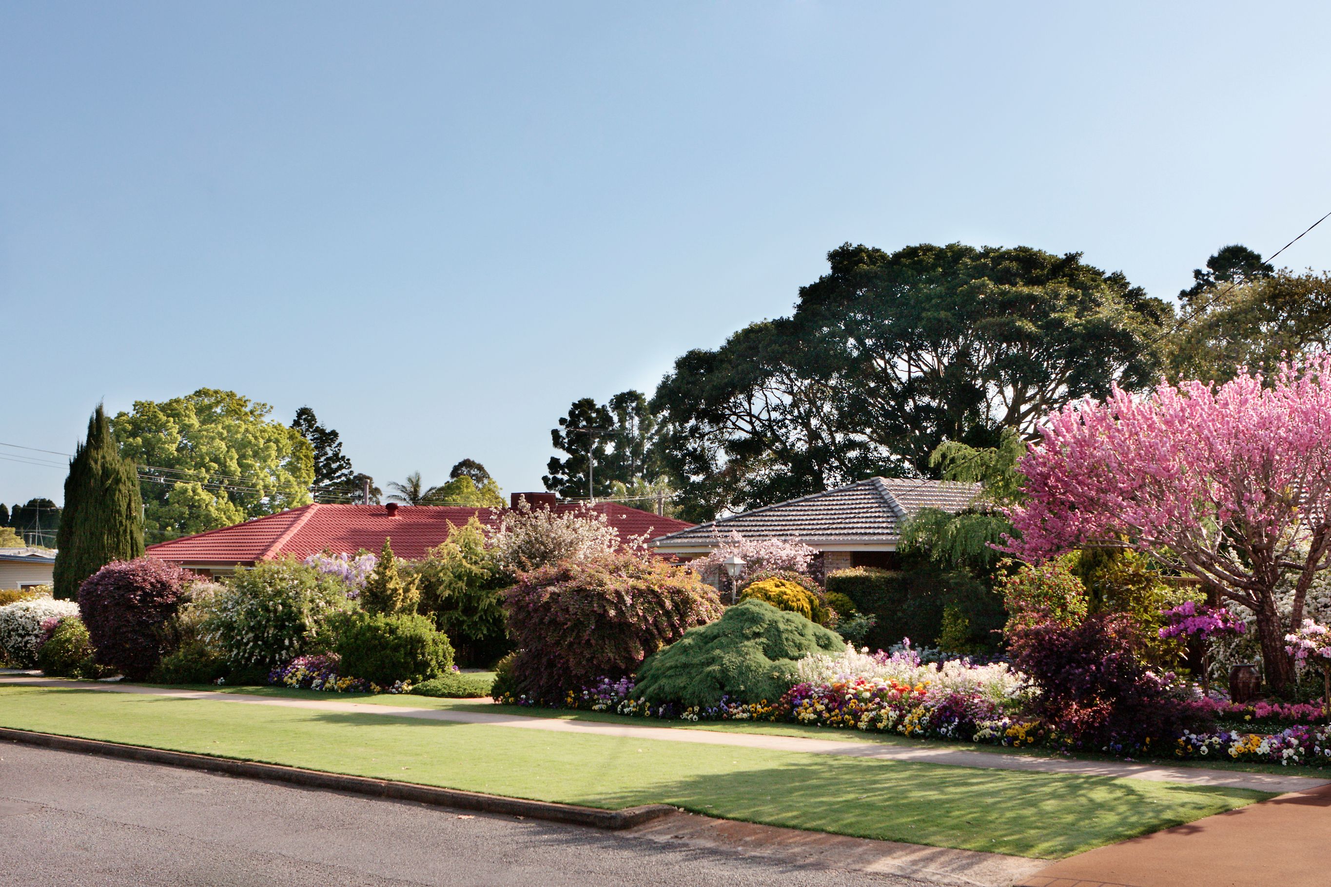 Beautiful gardens in spring on a suburban street