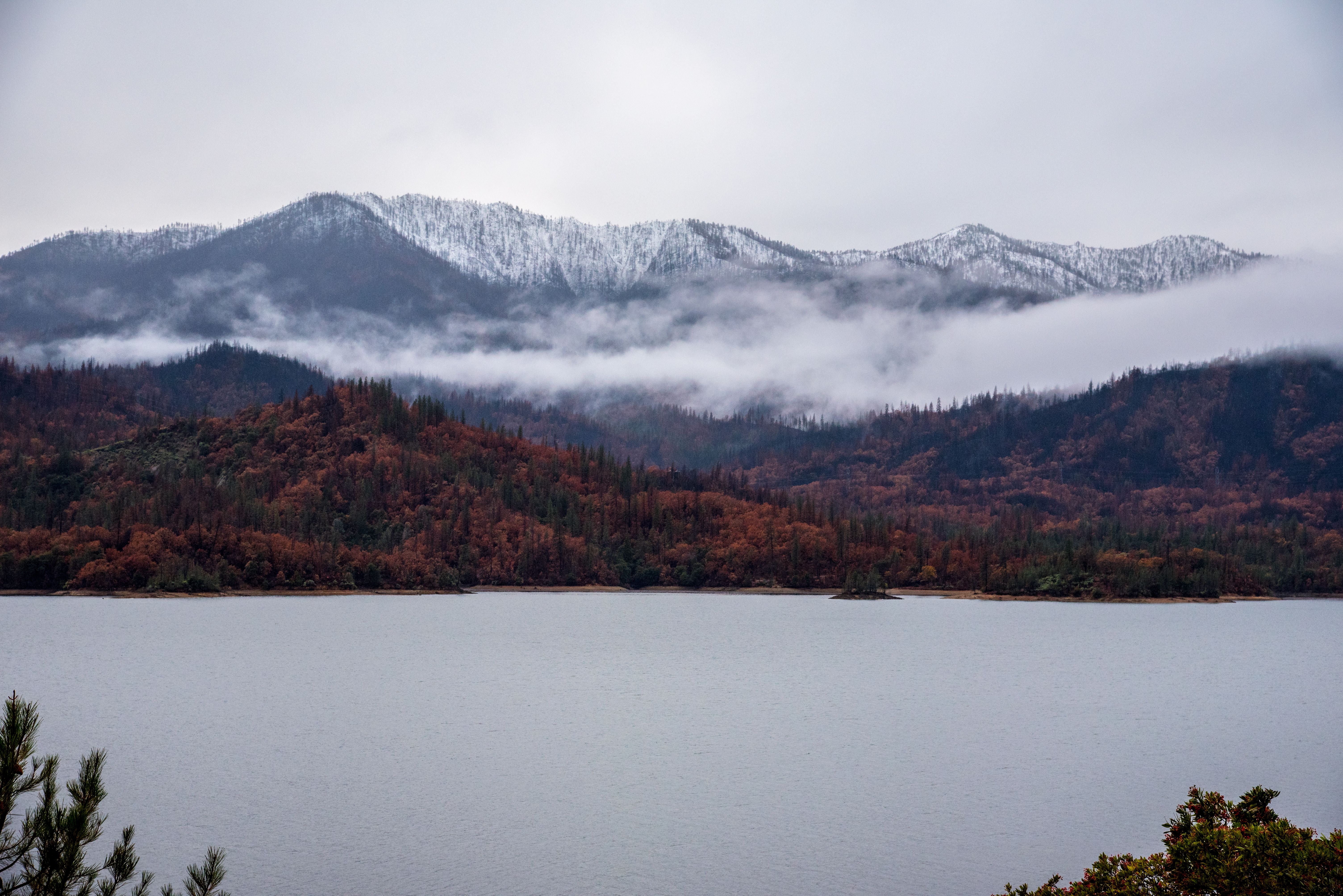 hamblen county landscape