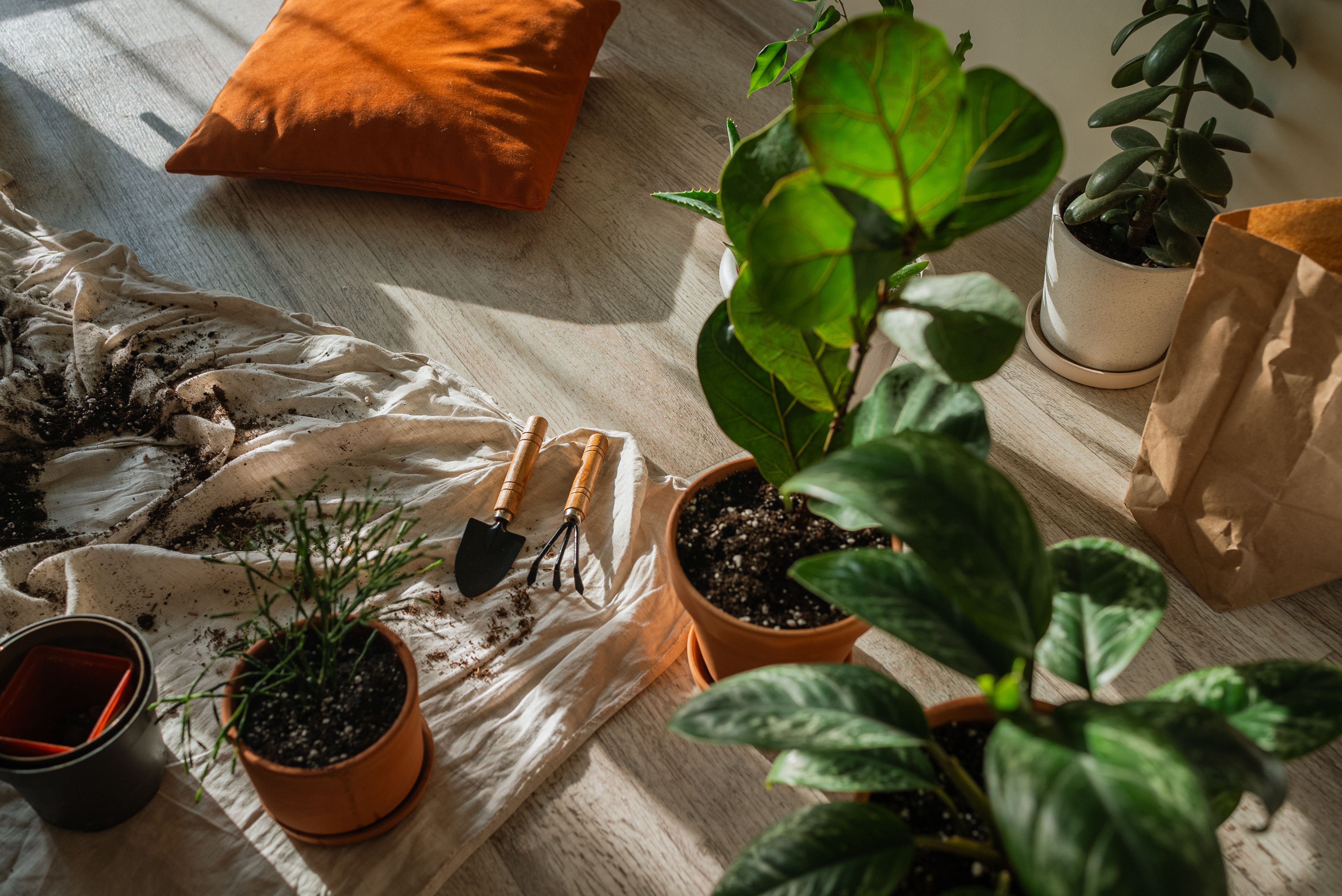 urban gardening tools