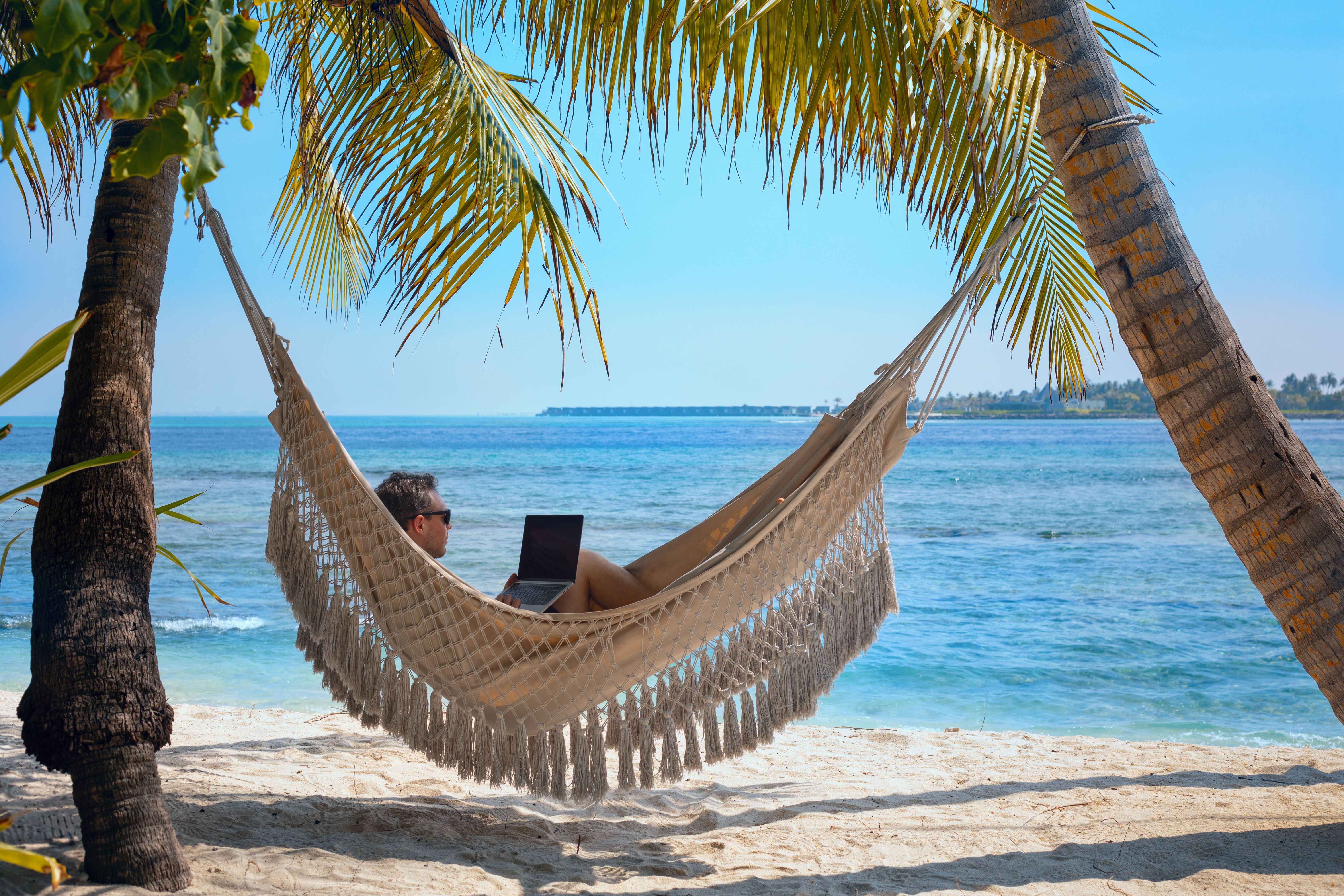 man working on laptop computer while relaxing in beach hammock, freelance worker, remote job