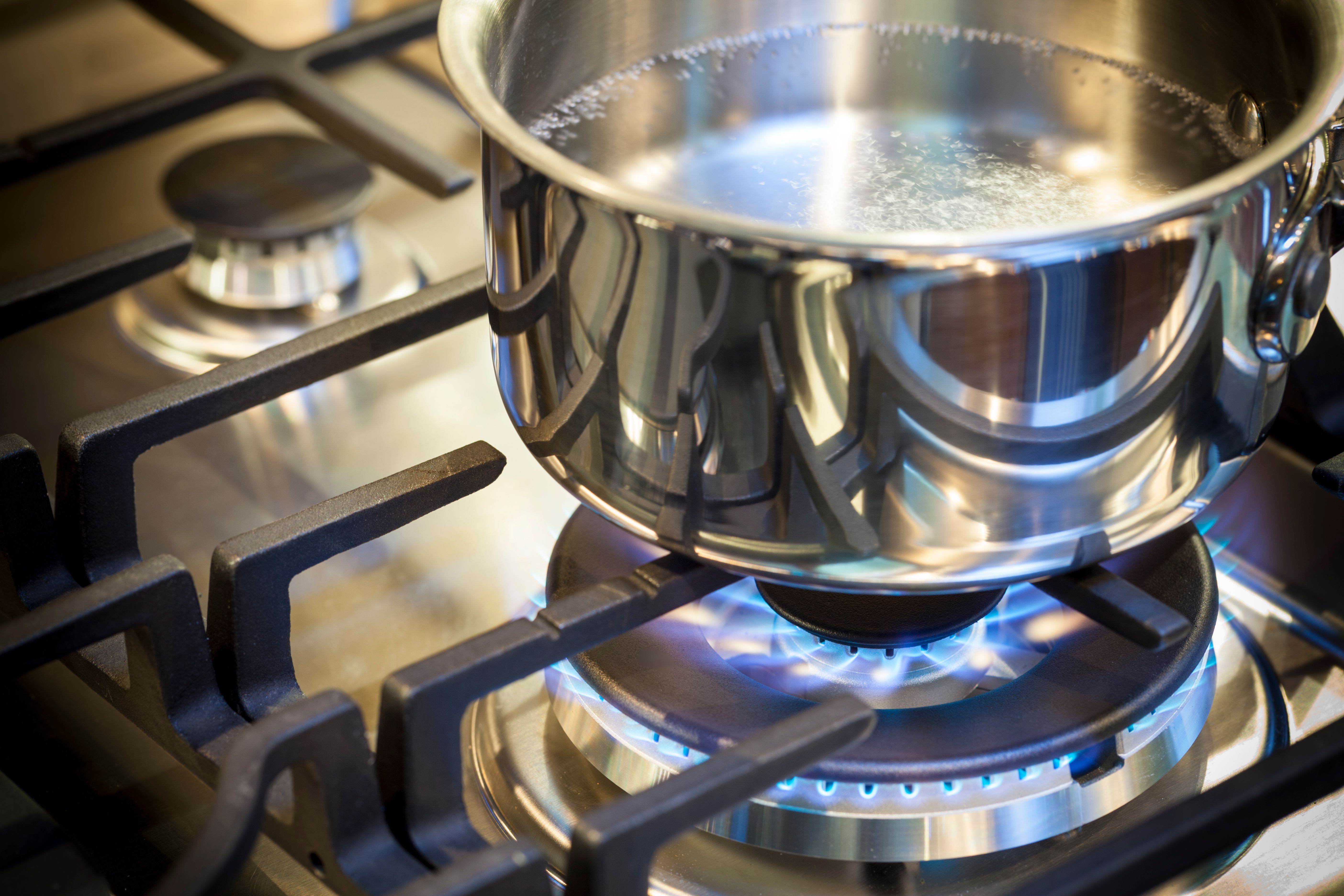 stainless steel pot
