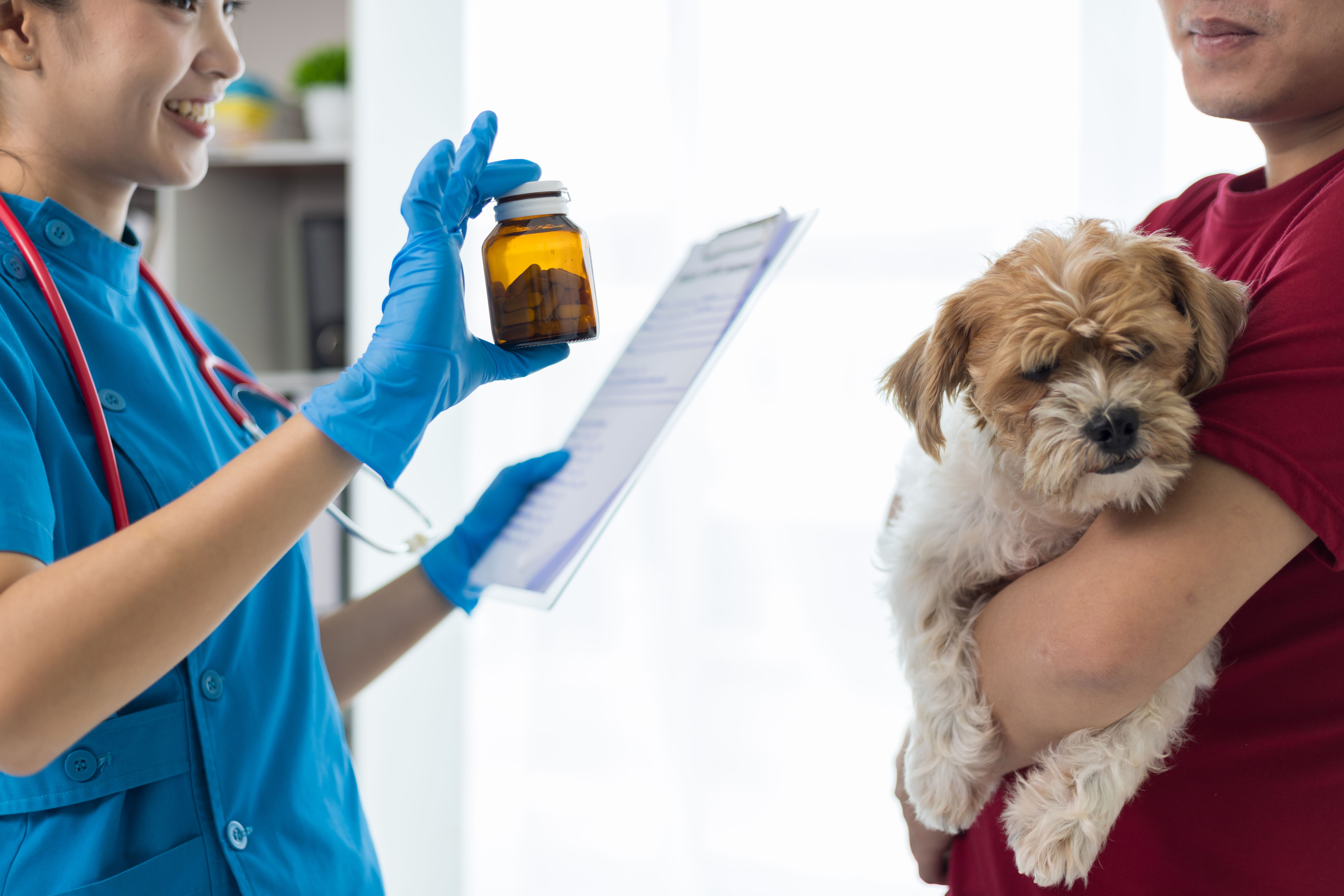 pet hospital visit