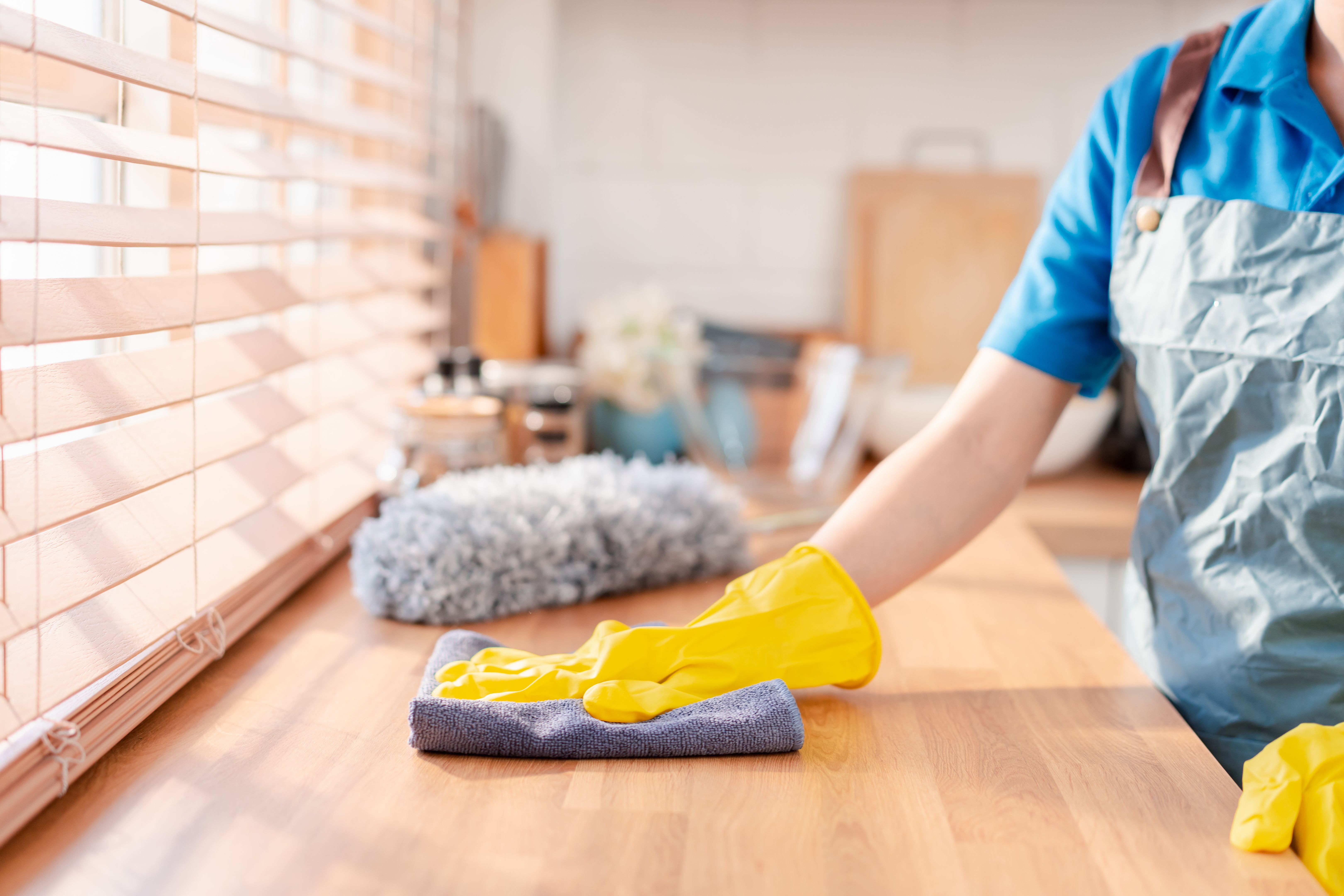 professional house cleaning