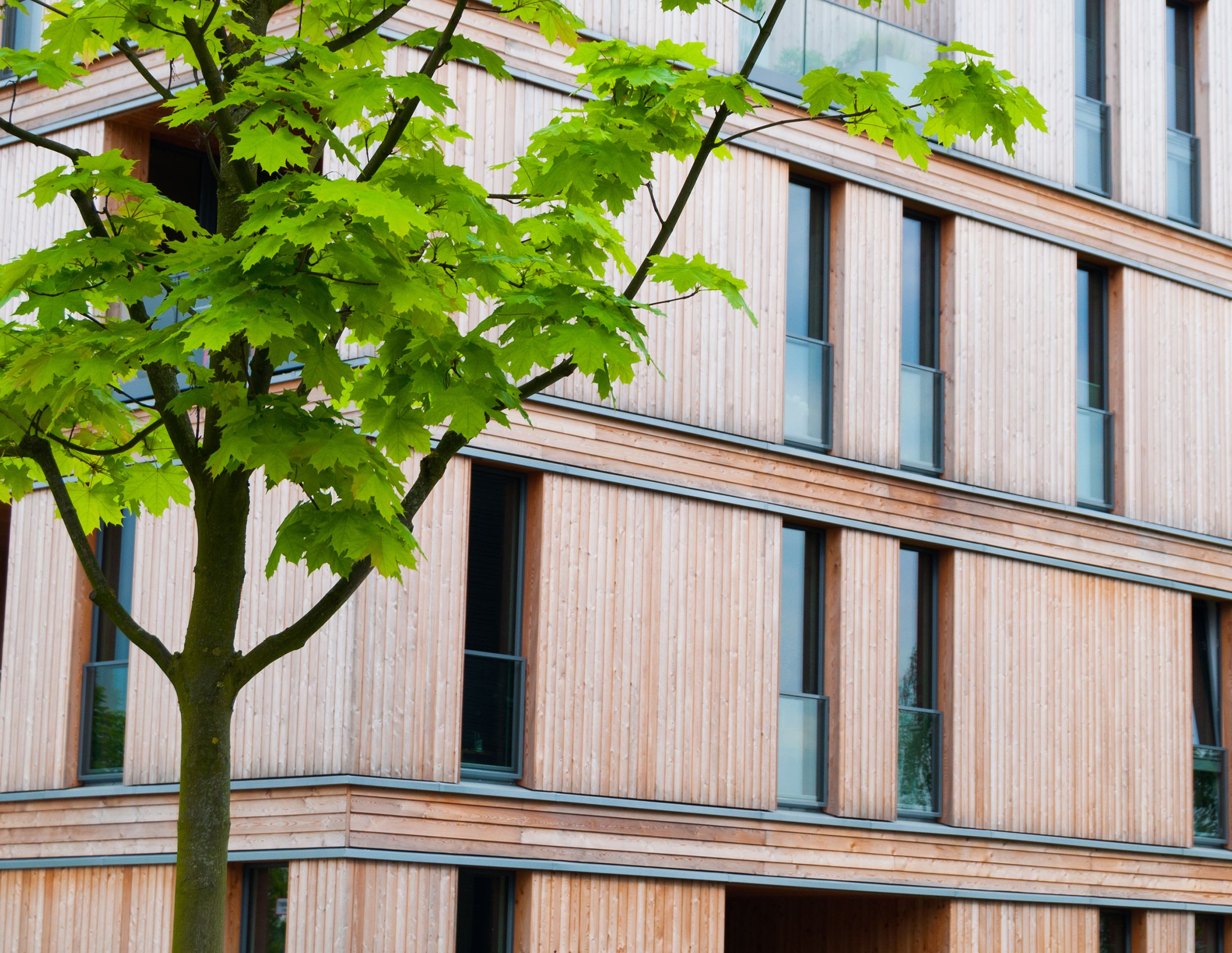 sustainable_building_germany