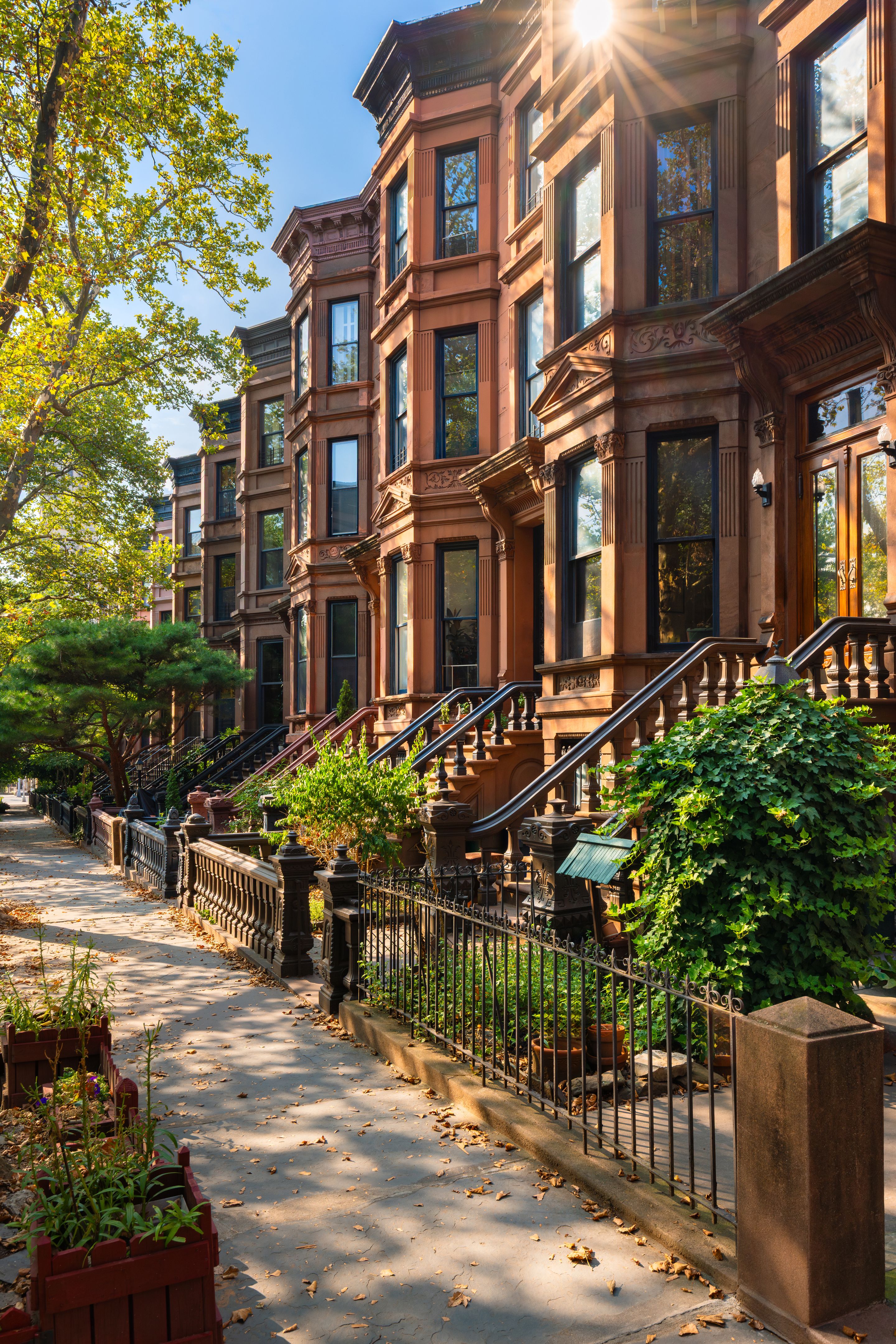 brooklyn neighborhood