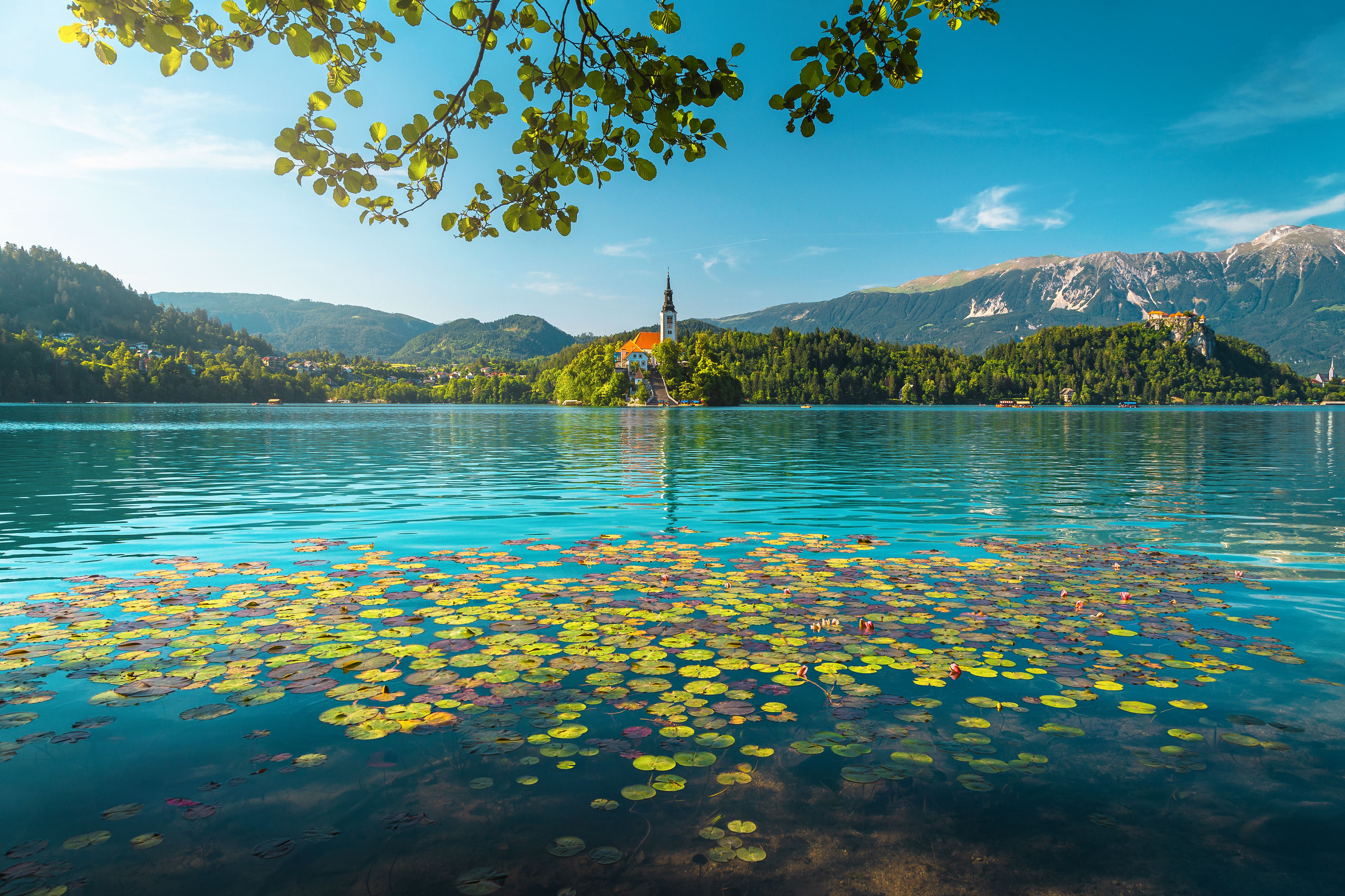 Slovenian nature