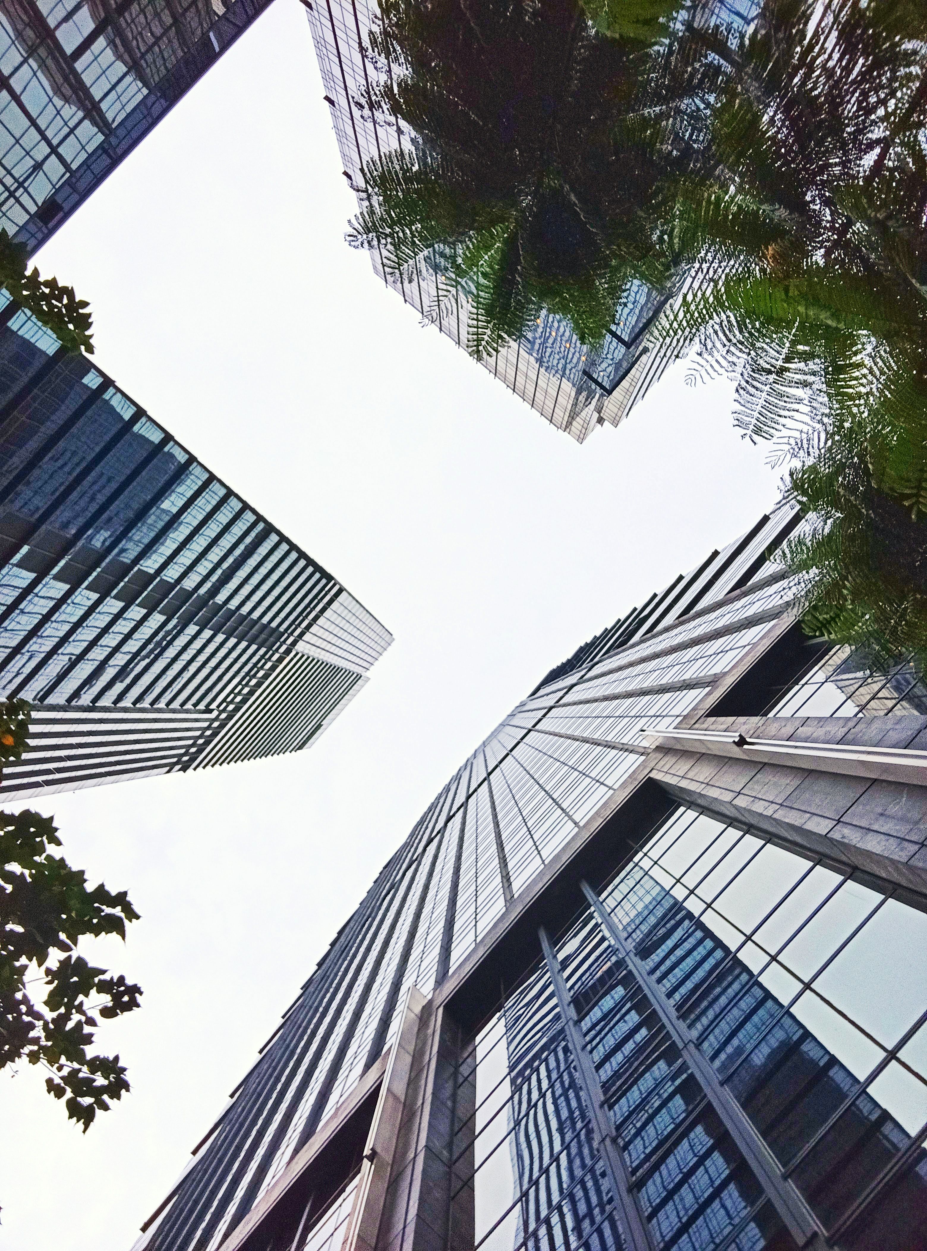 The upside down background view