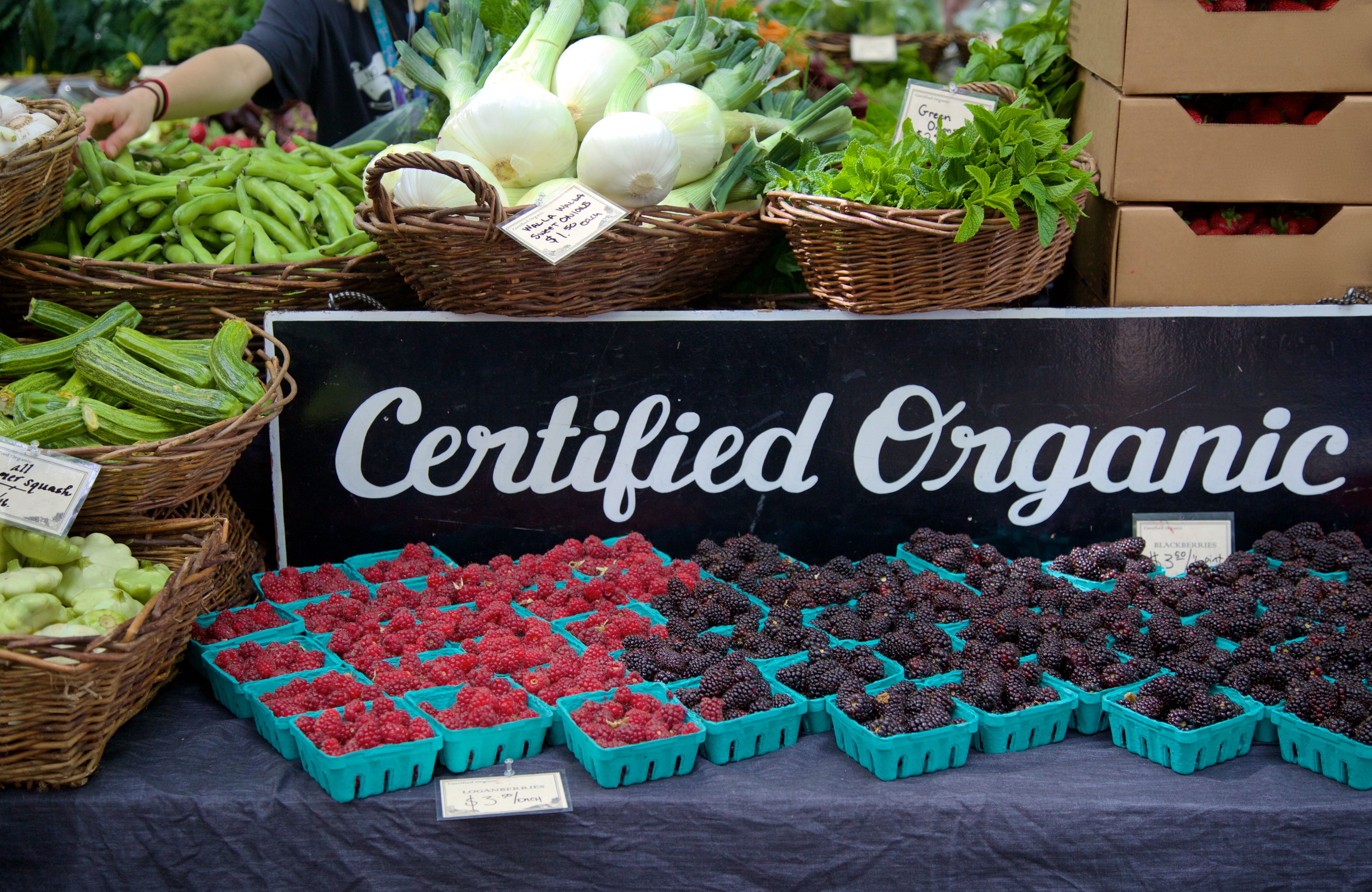 organic certification