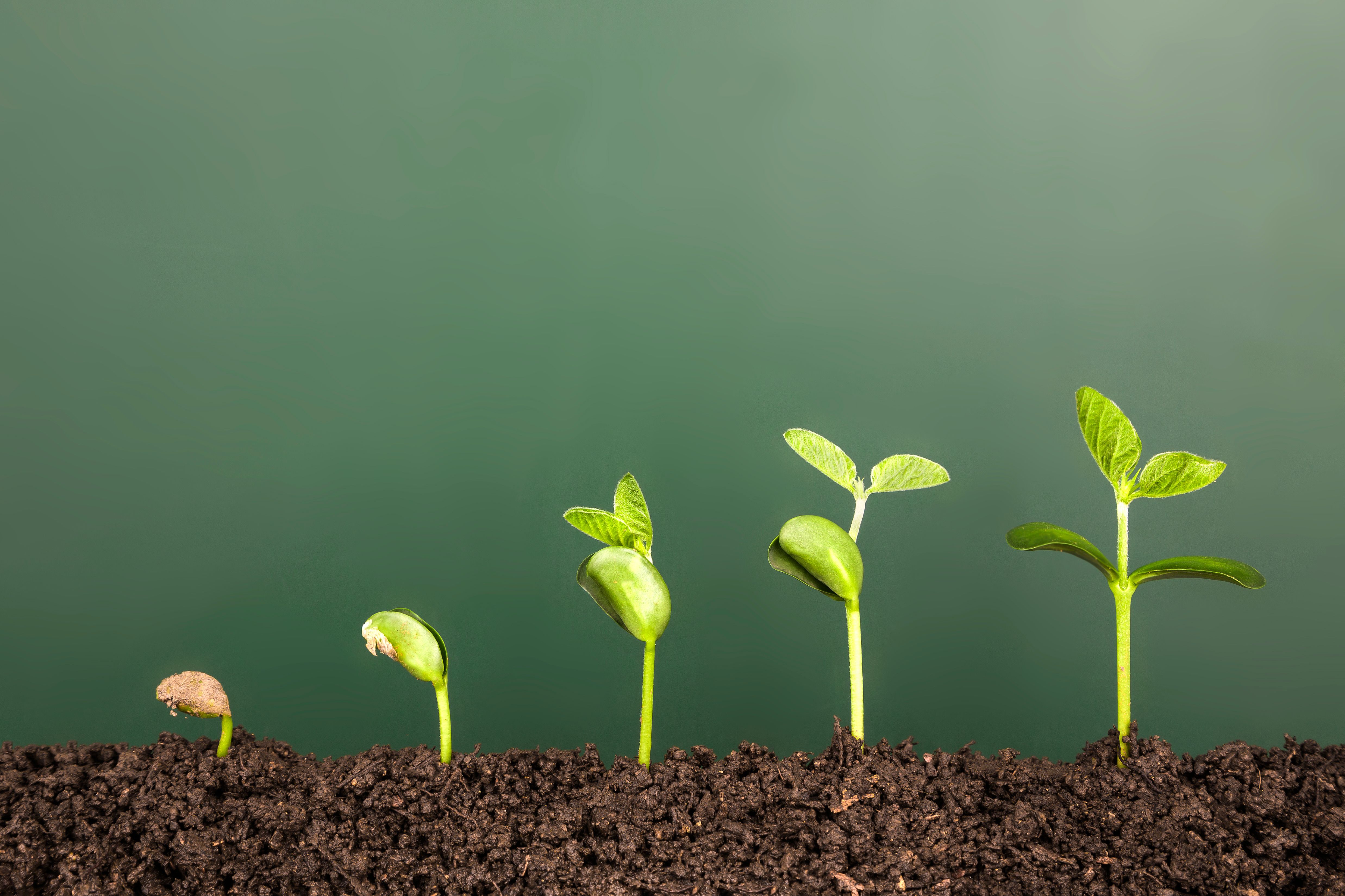 investment growth