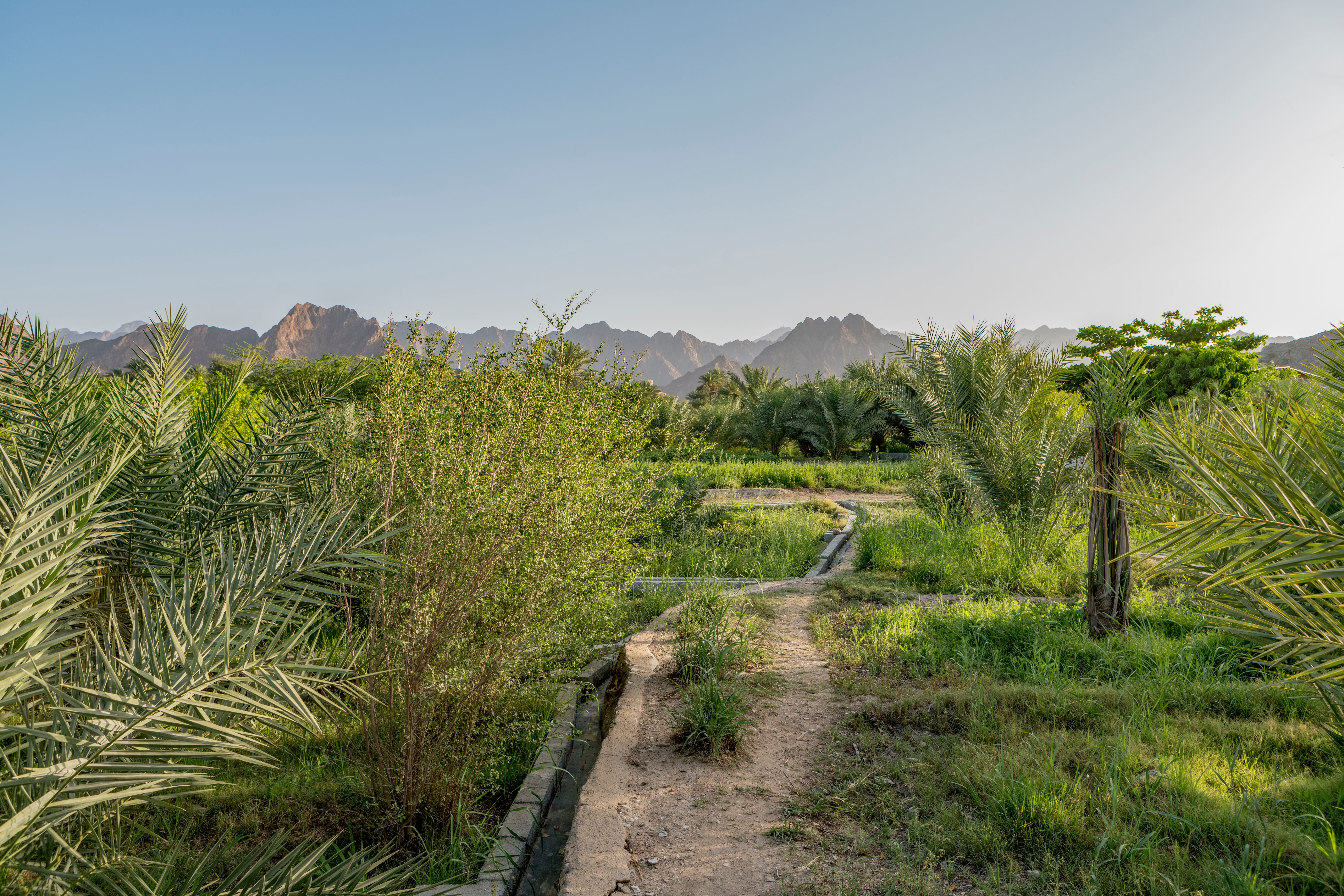 Hatta Hill Park Hatta Hill Park
