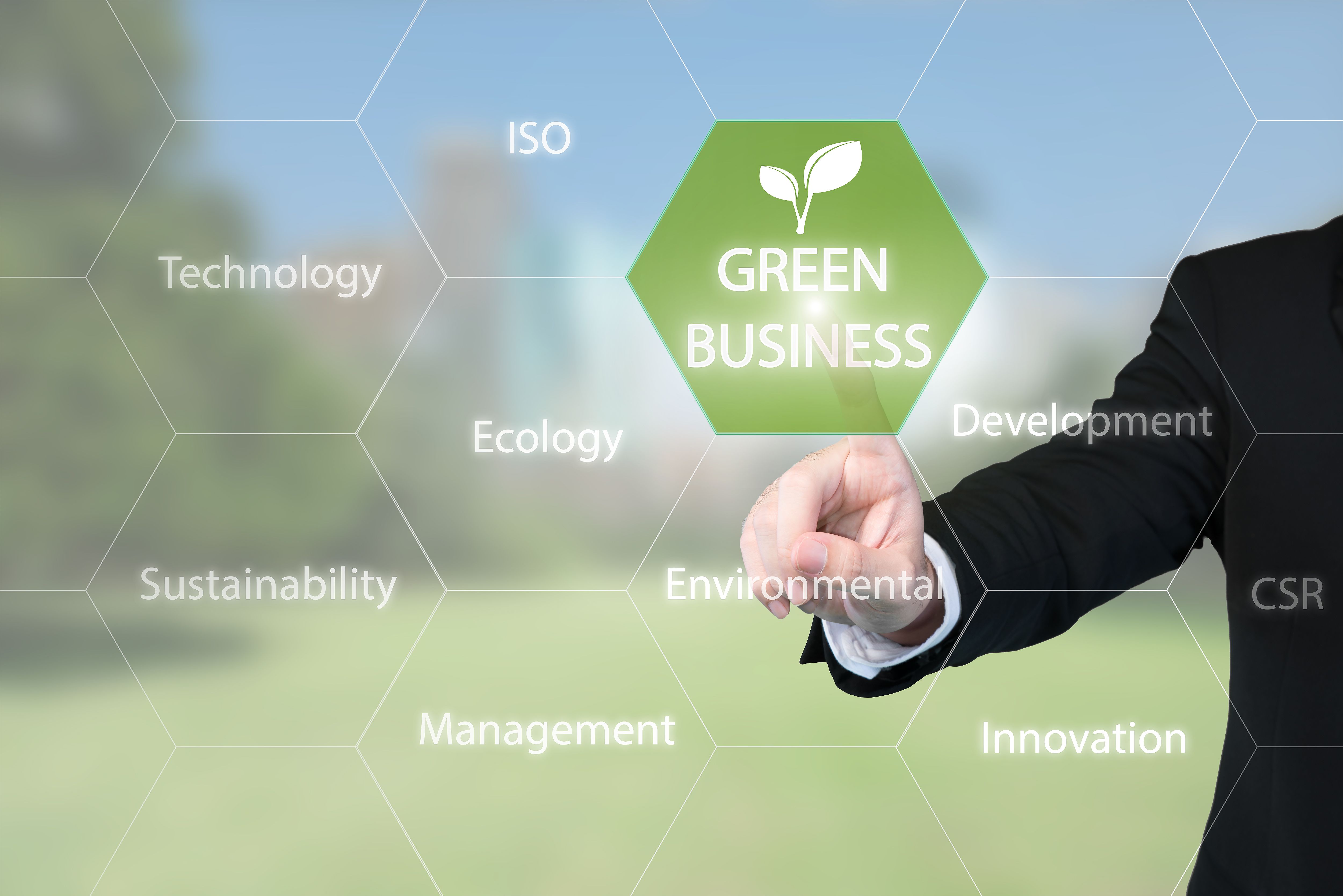 Business man working with virtual interface presentation of green business