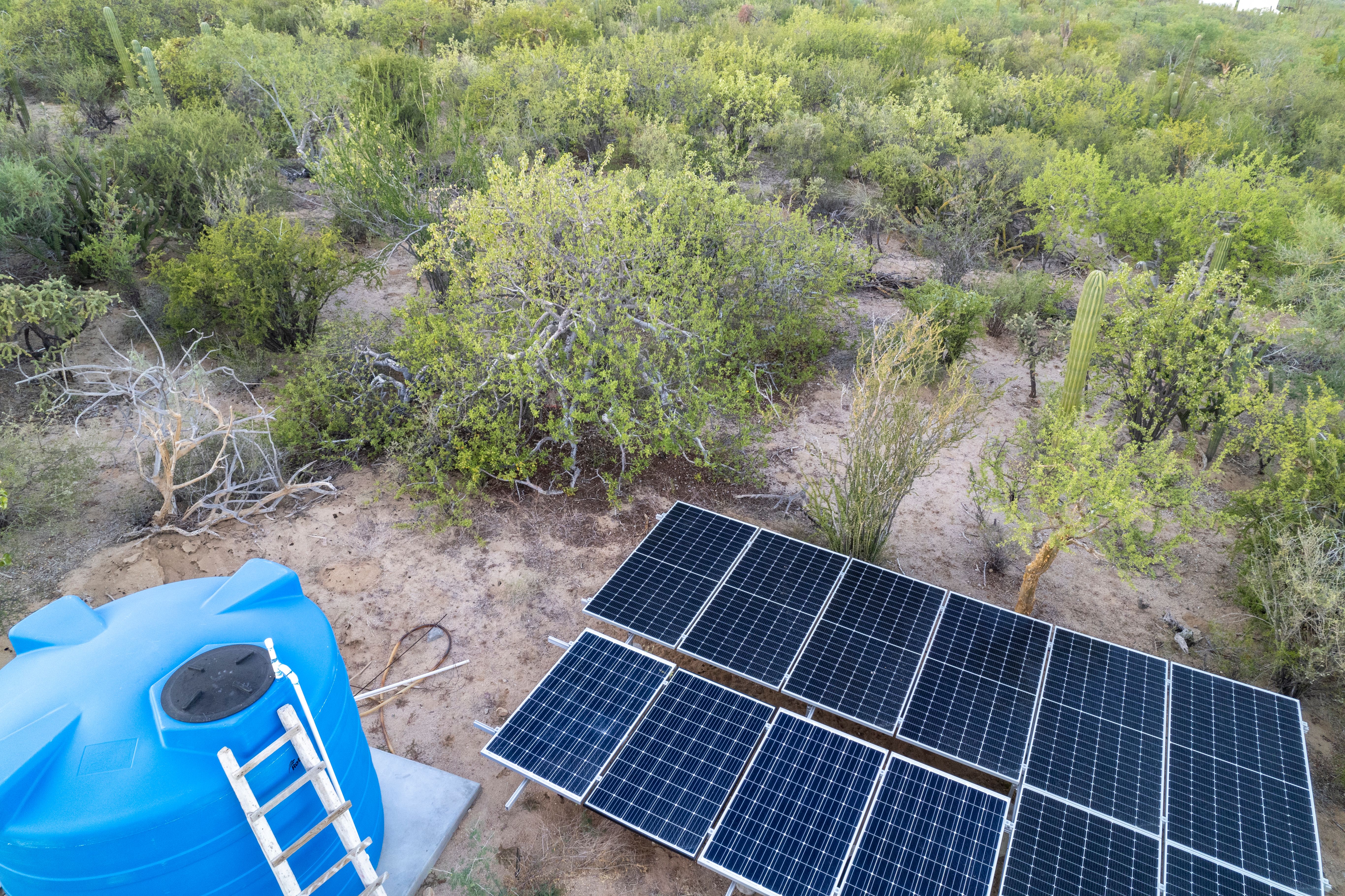 baja california business