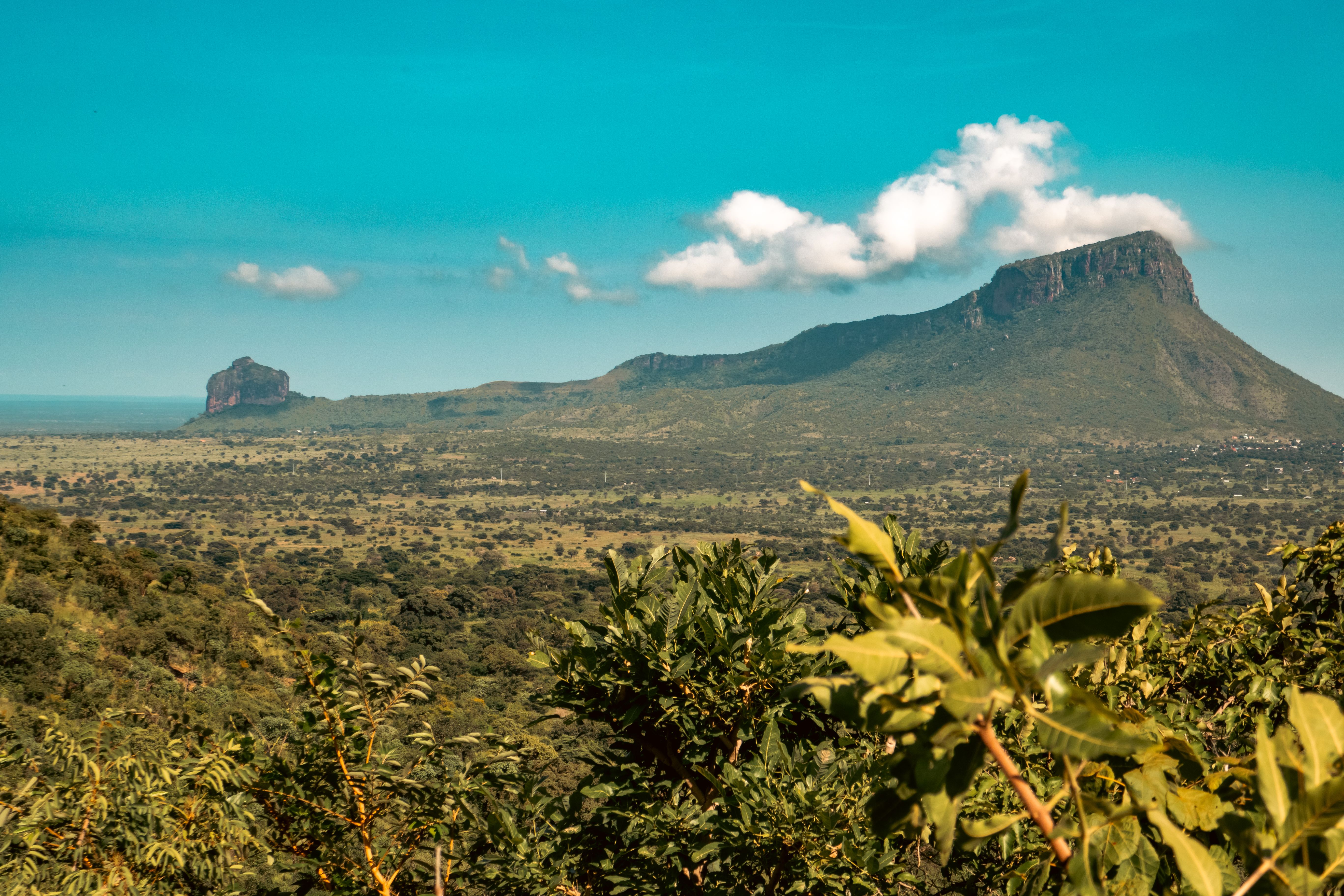 uganda landscape