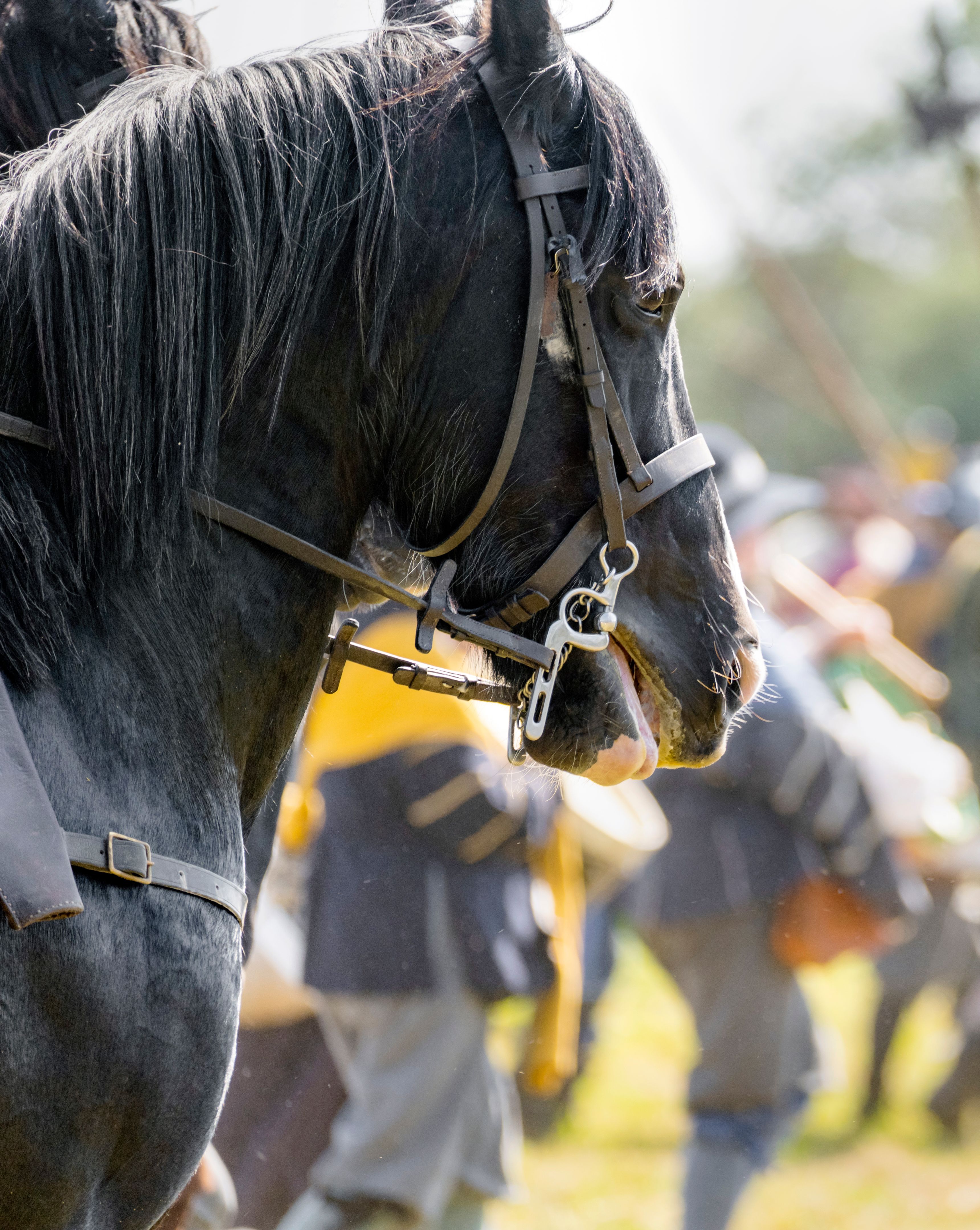 connecticut firearms