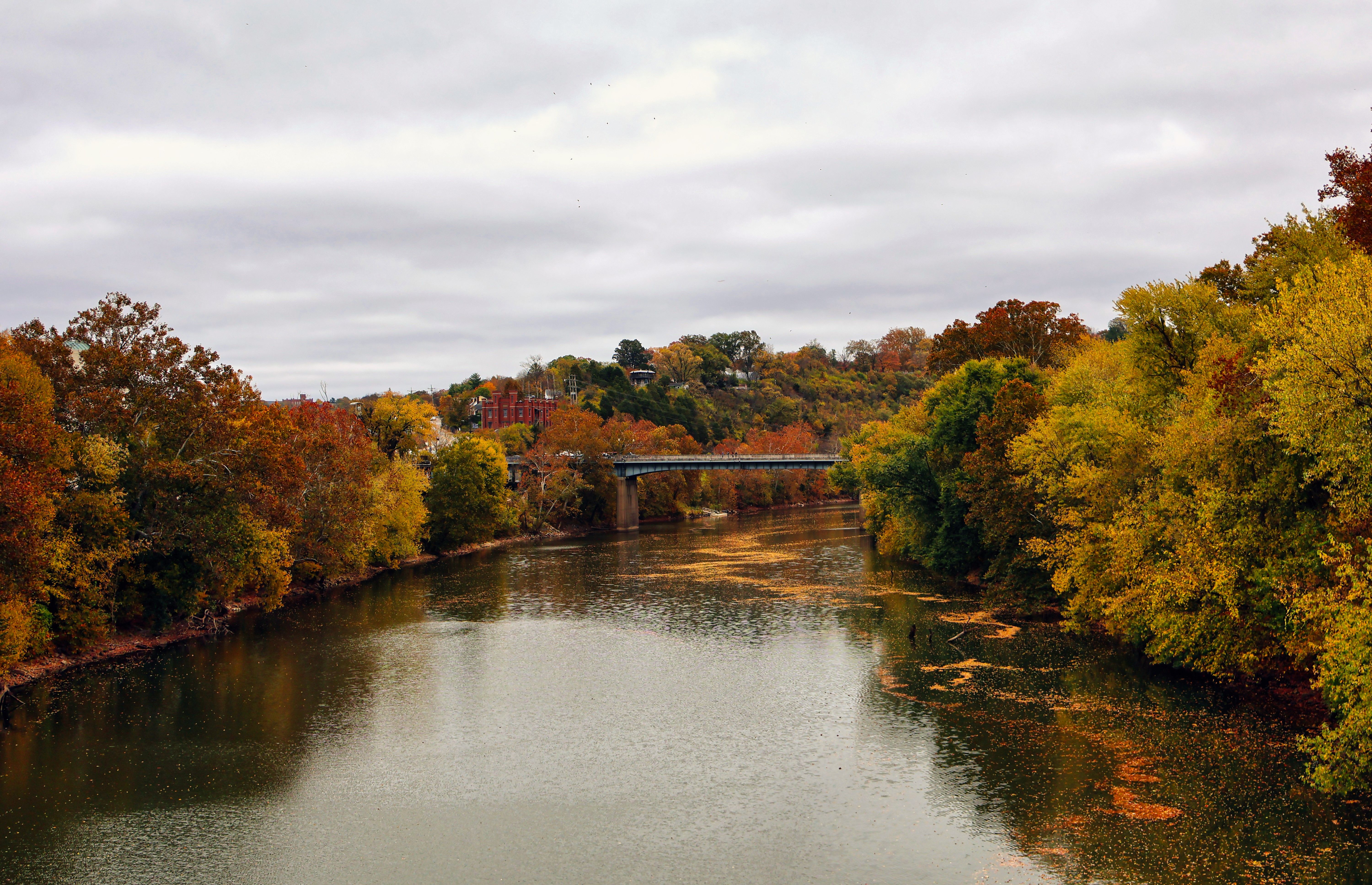 manayunk river