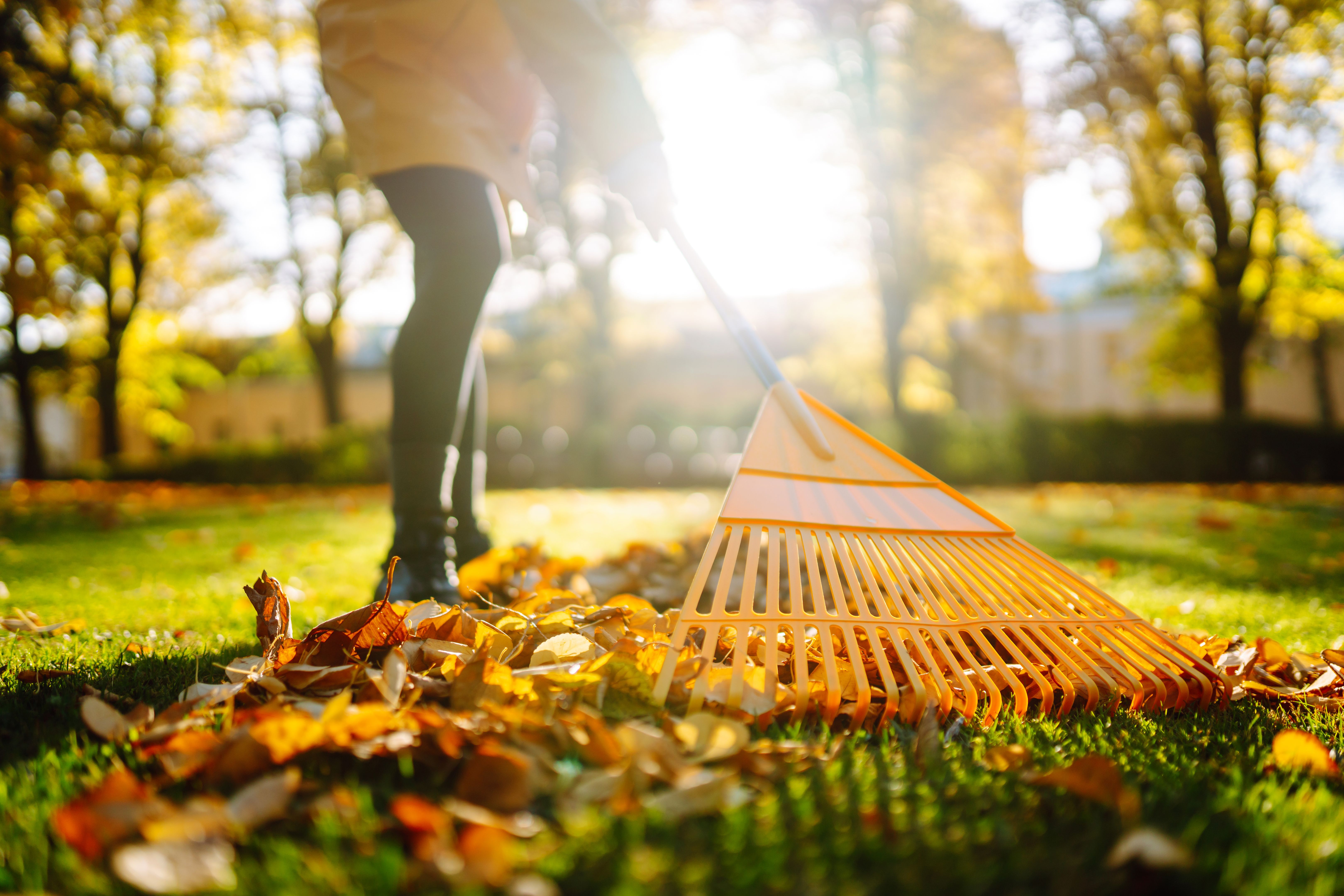 autumn property maintenance