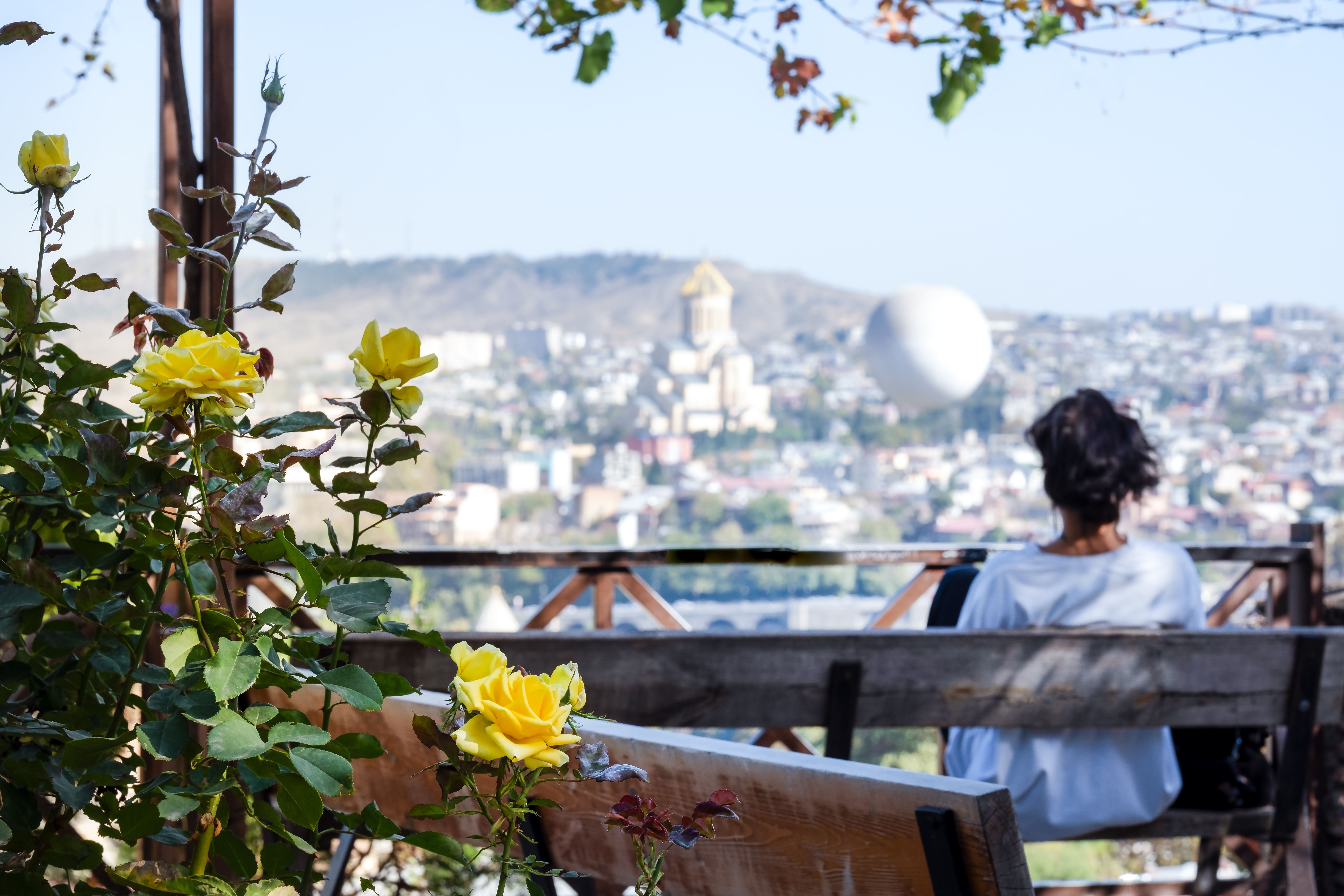 view of Tbilisi from the observation deck with yellow roses in autumn on a sunny day
