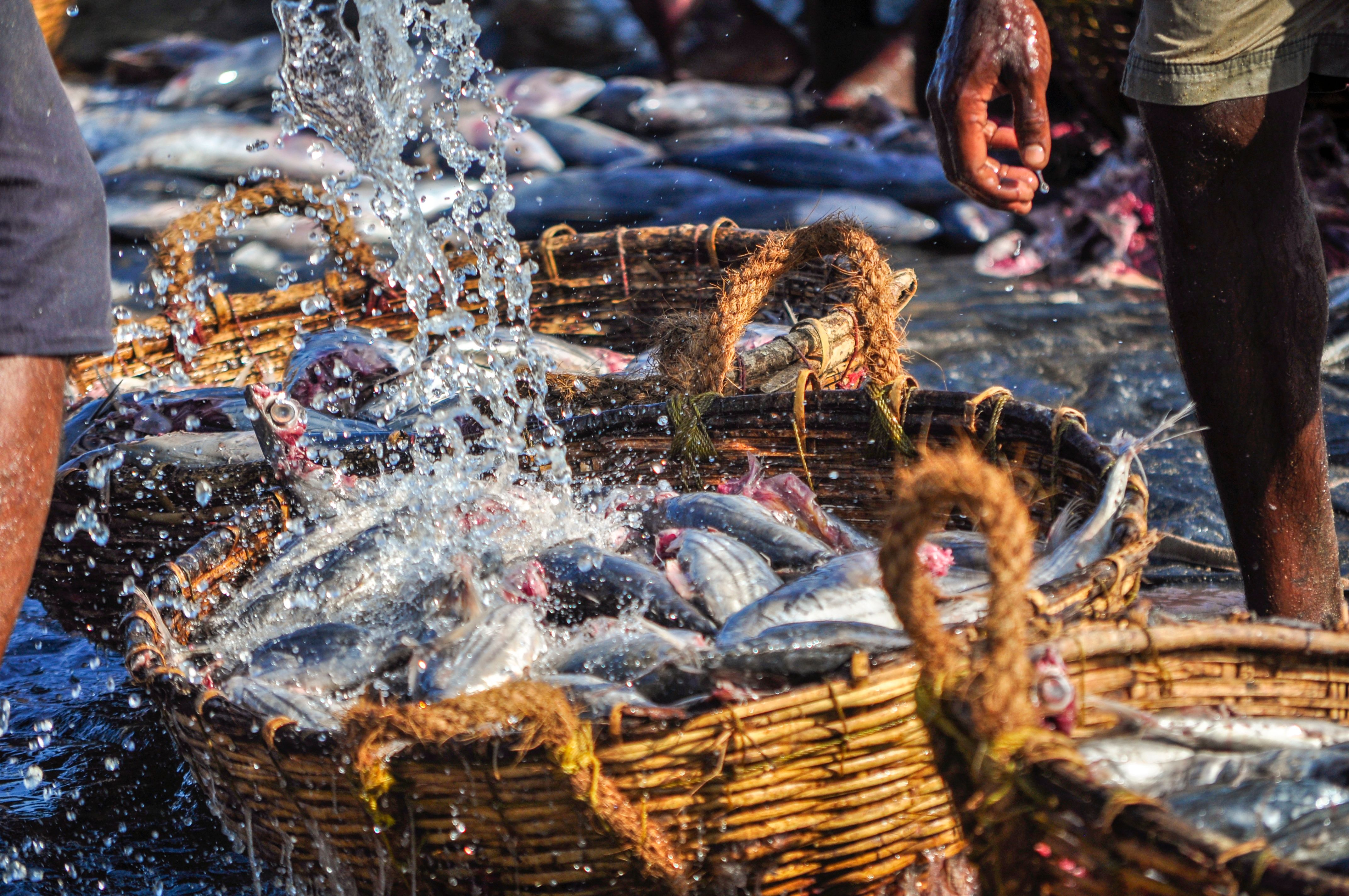 community fishing