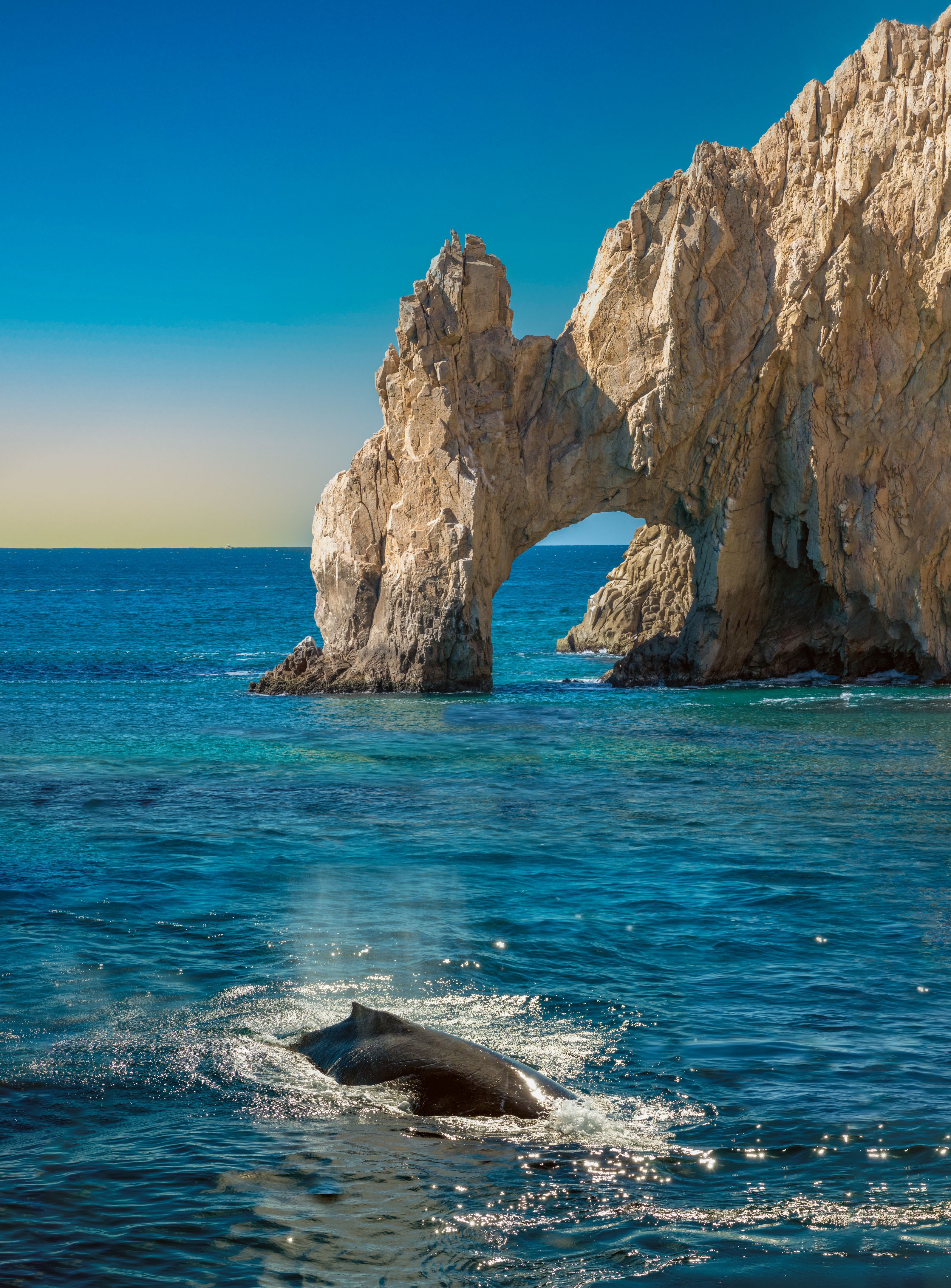 cabo san lucas