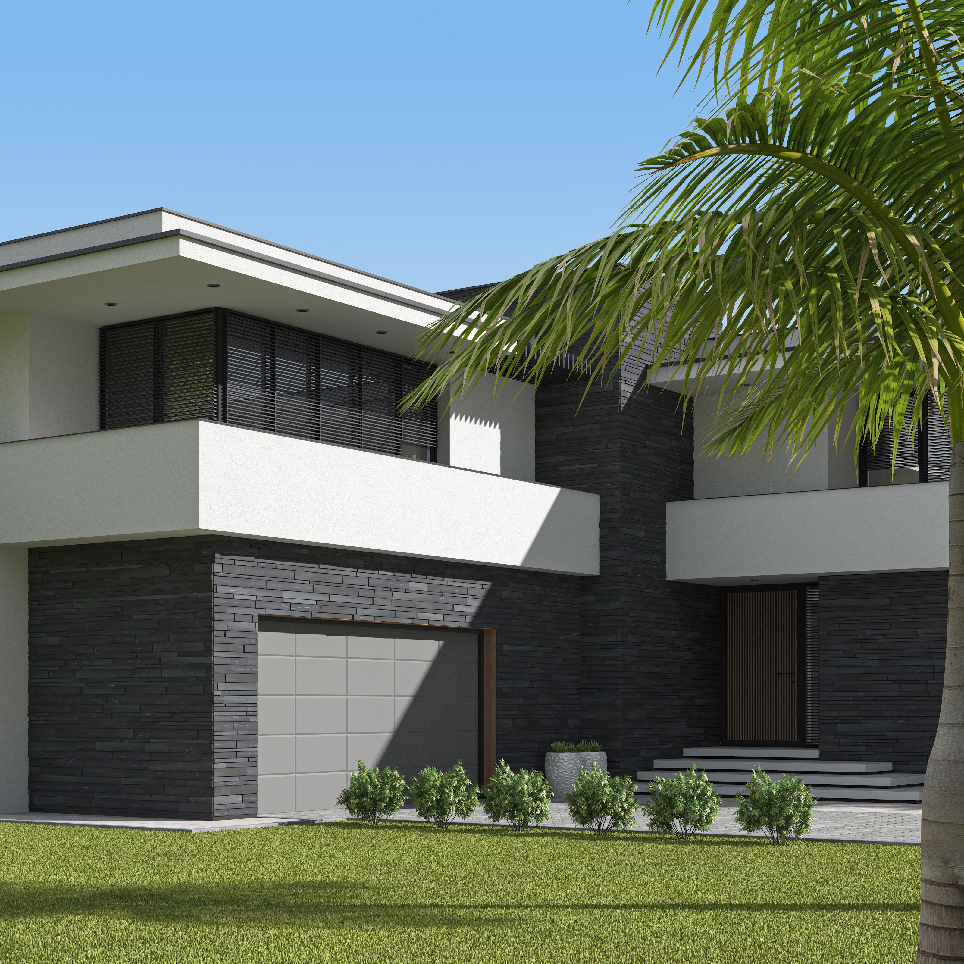 Modern Luxurious Villa with garden.