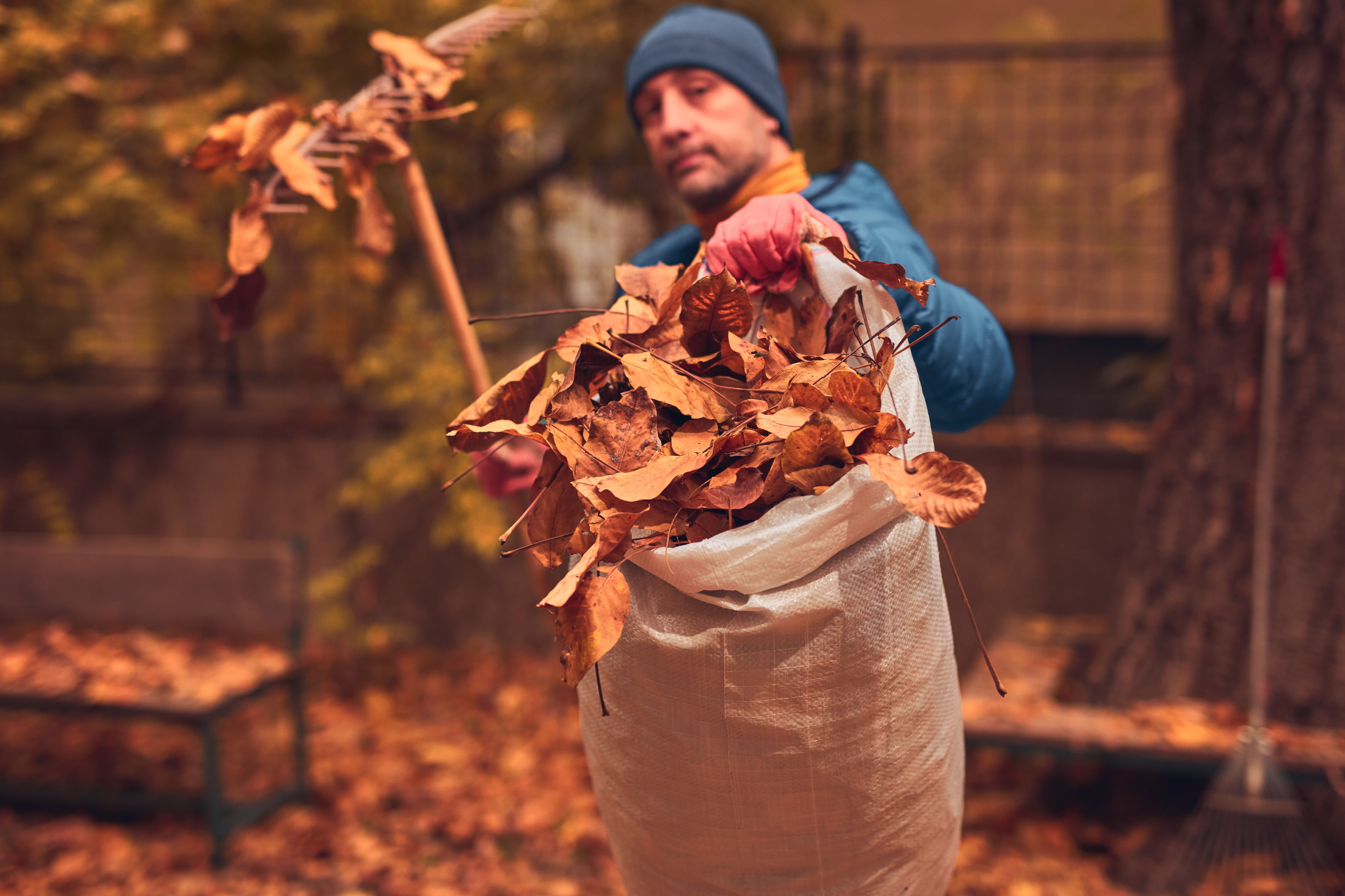recycled garden features