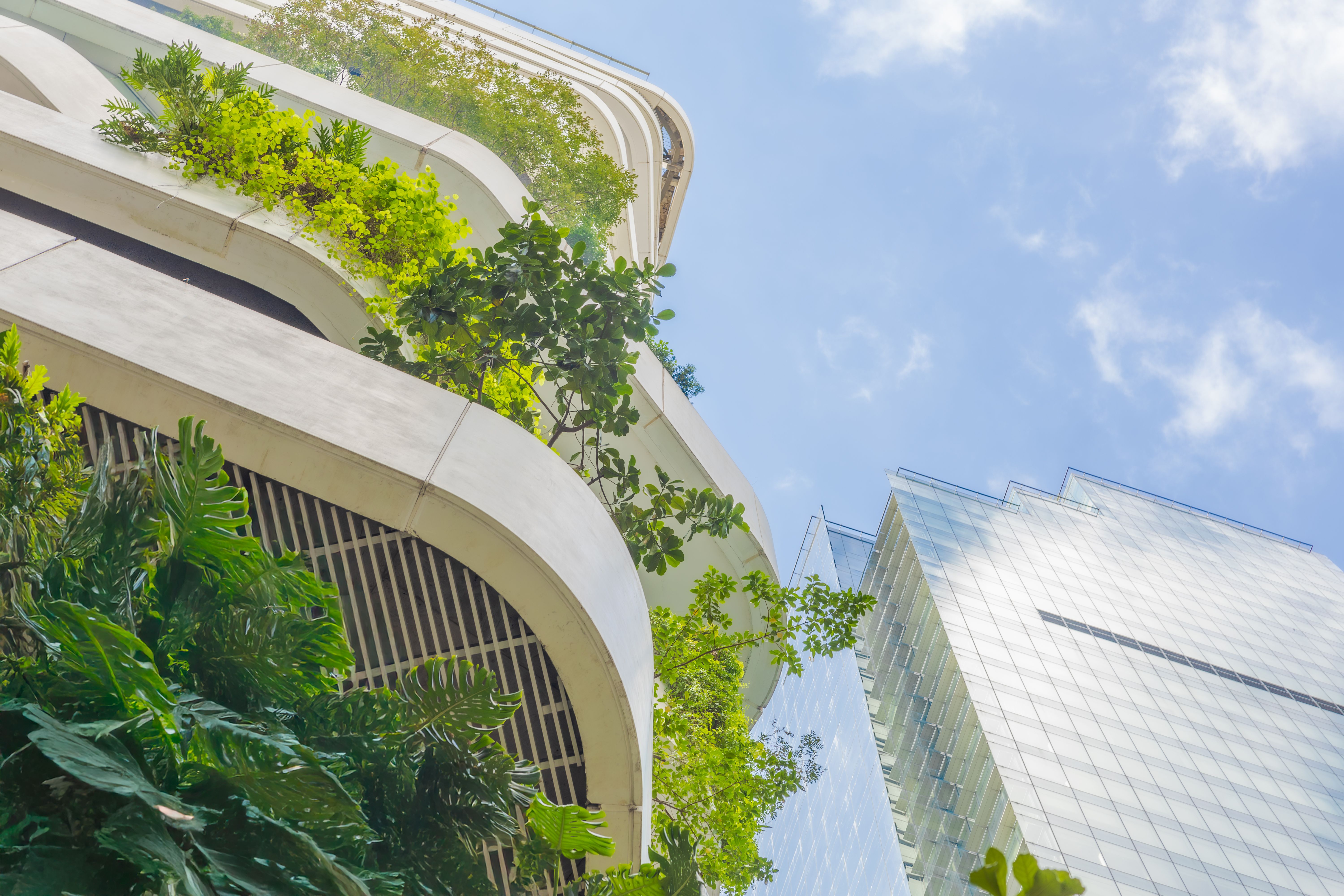 eco friendly construction