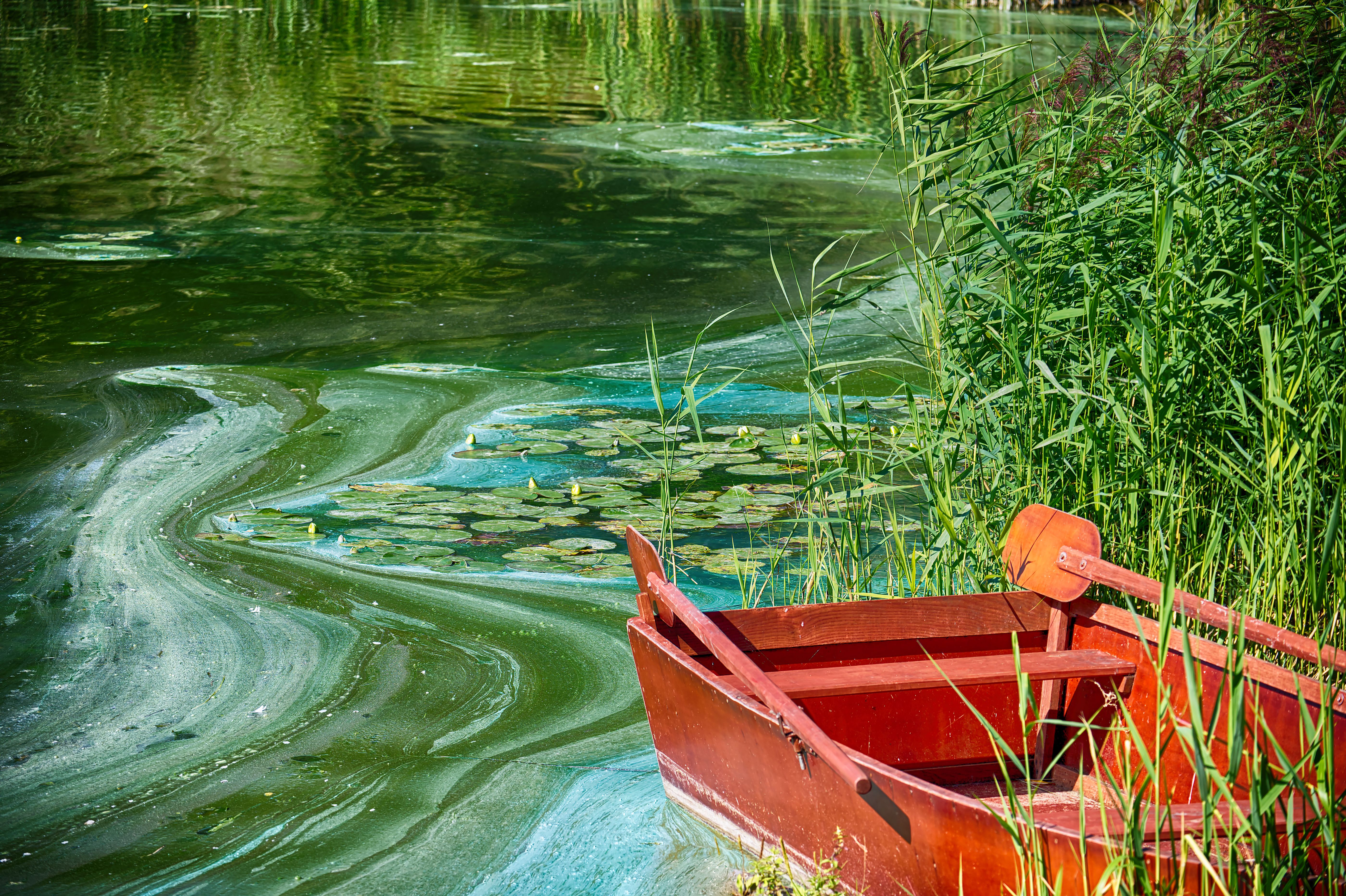 eco-friendly boat paint