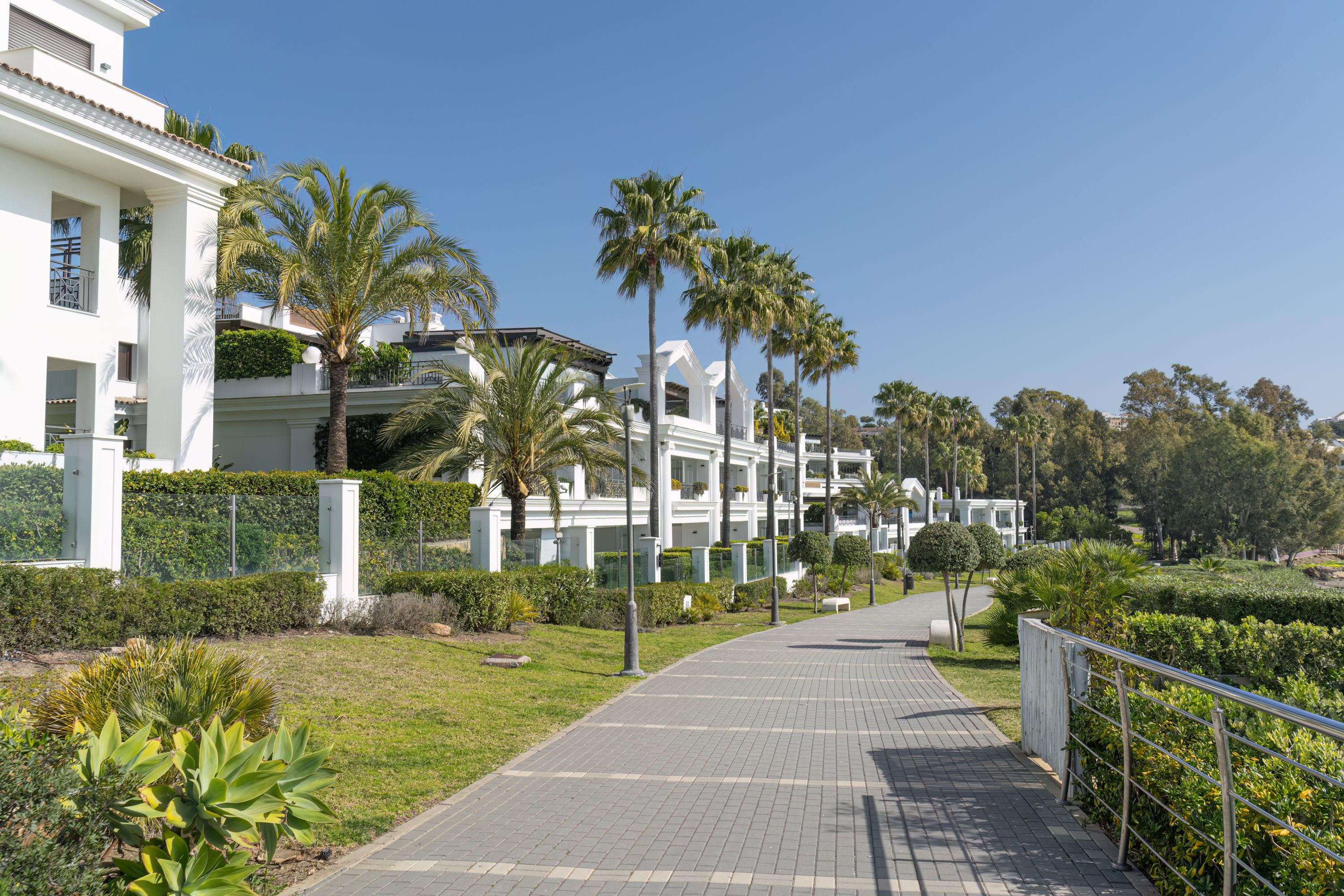 estepona real estate
