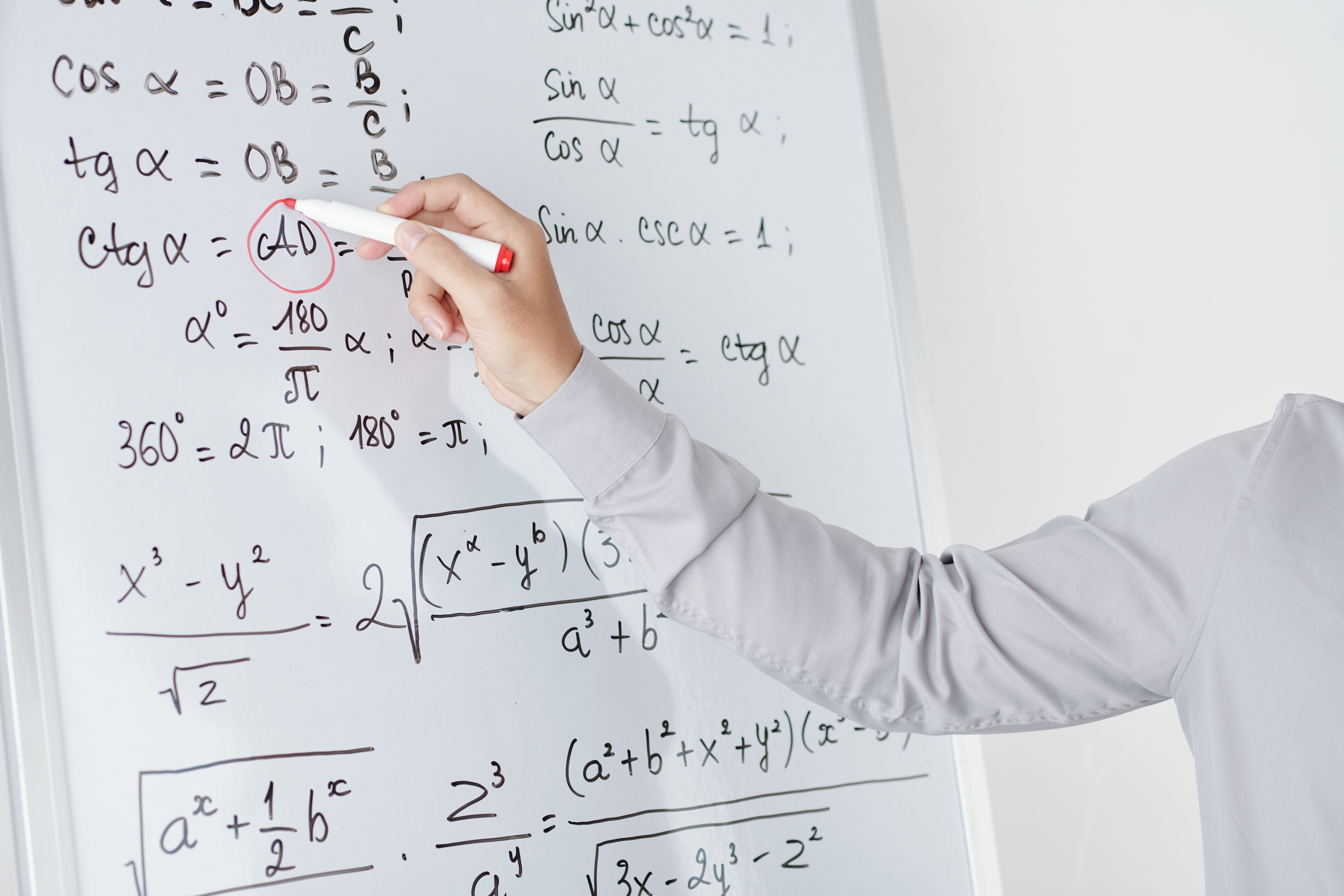 maths tutor selection