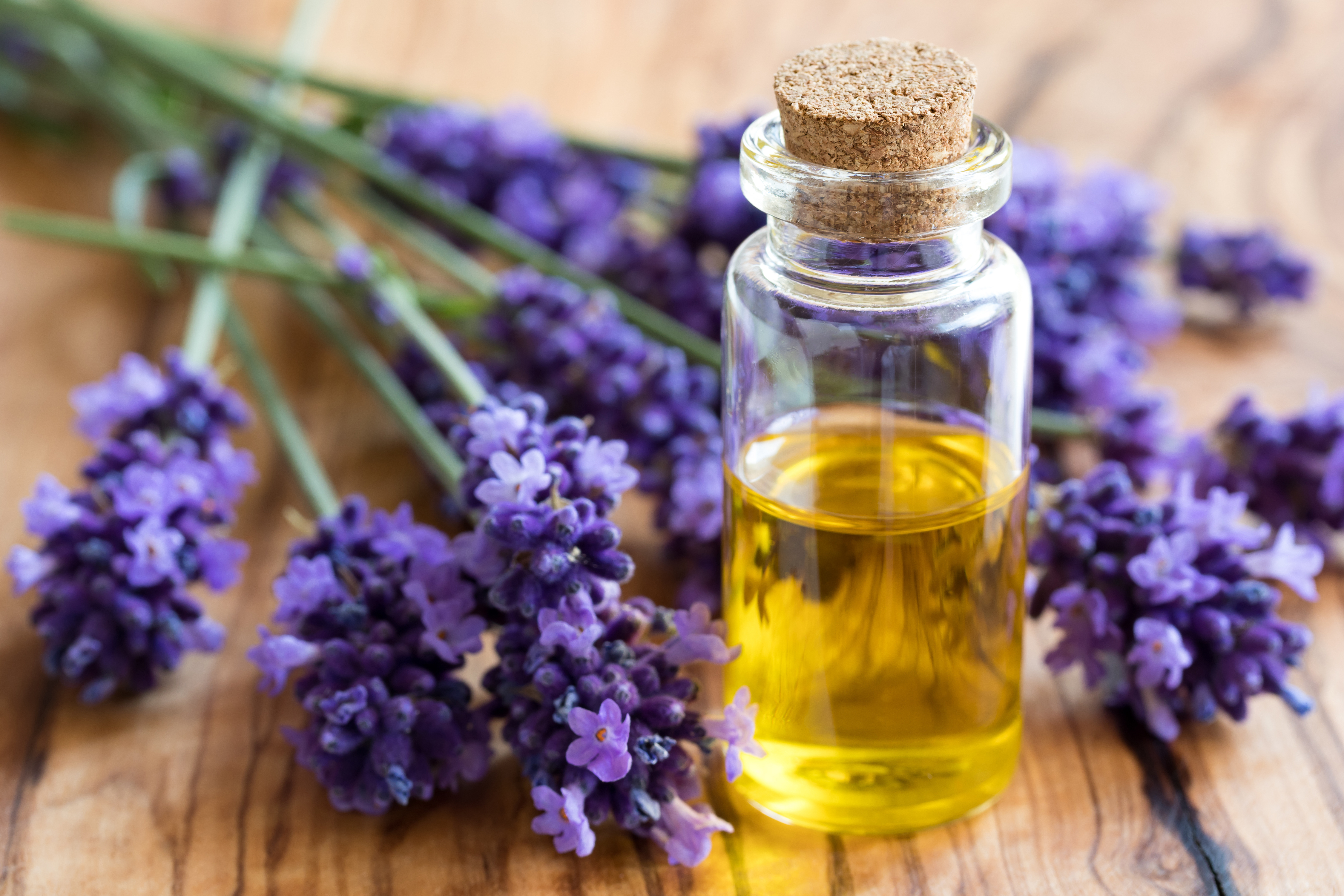 Lavender essential oil