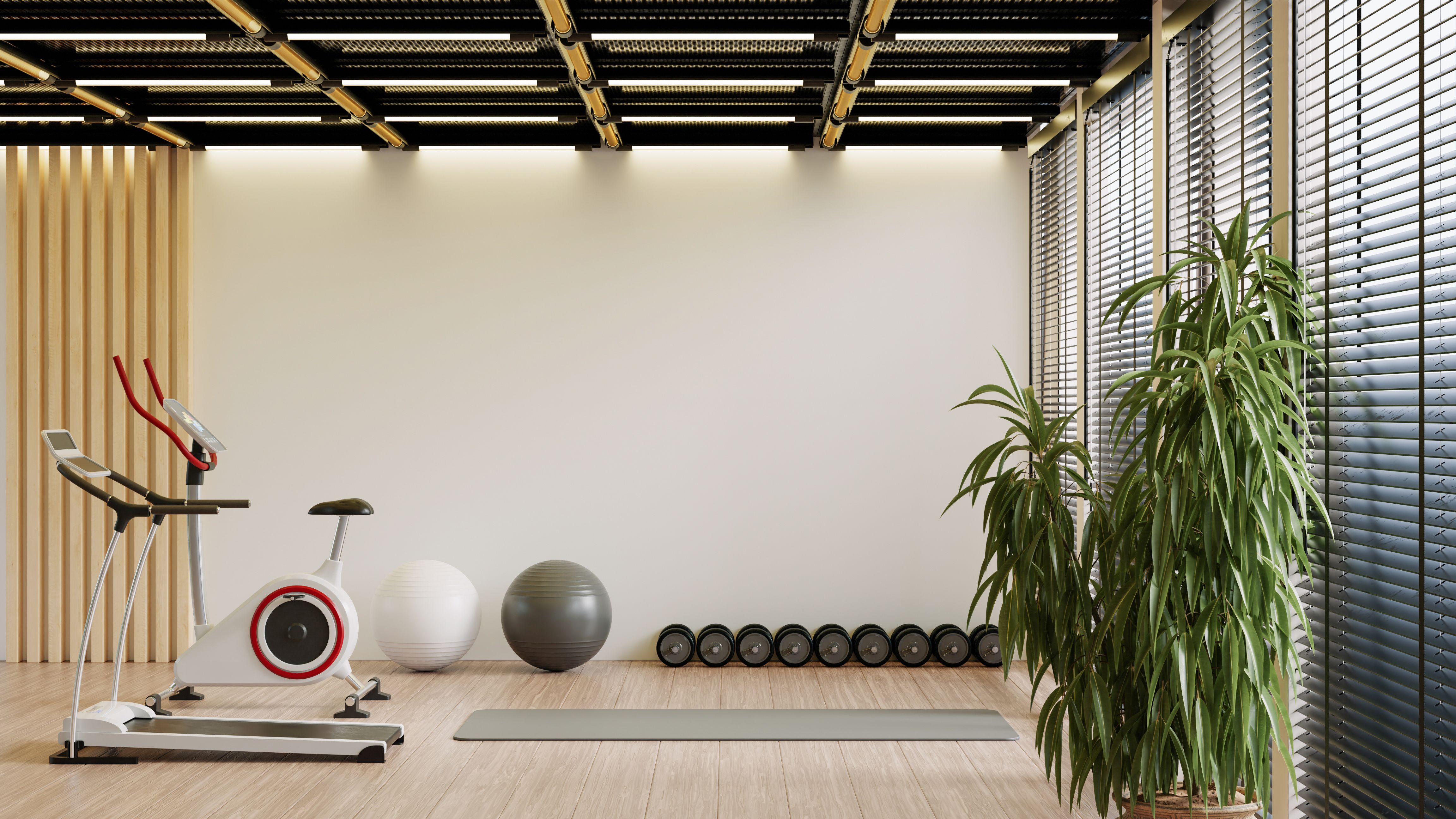 luxury gym