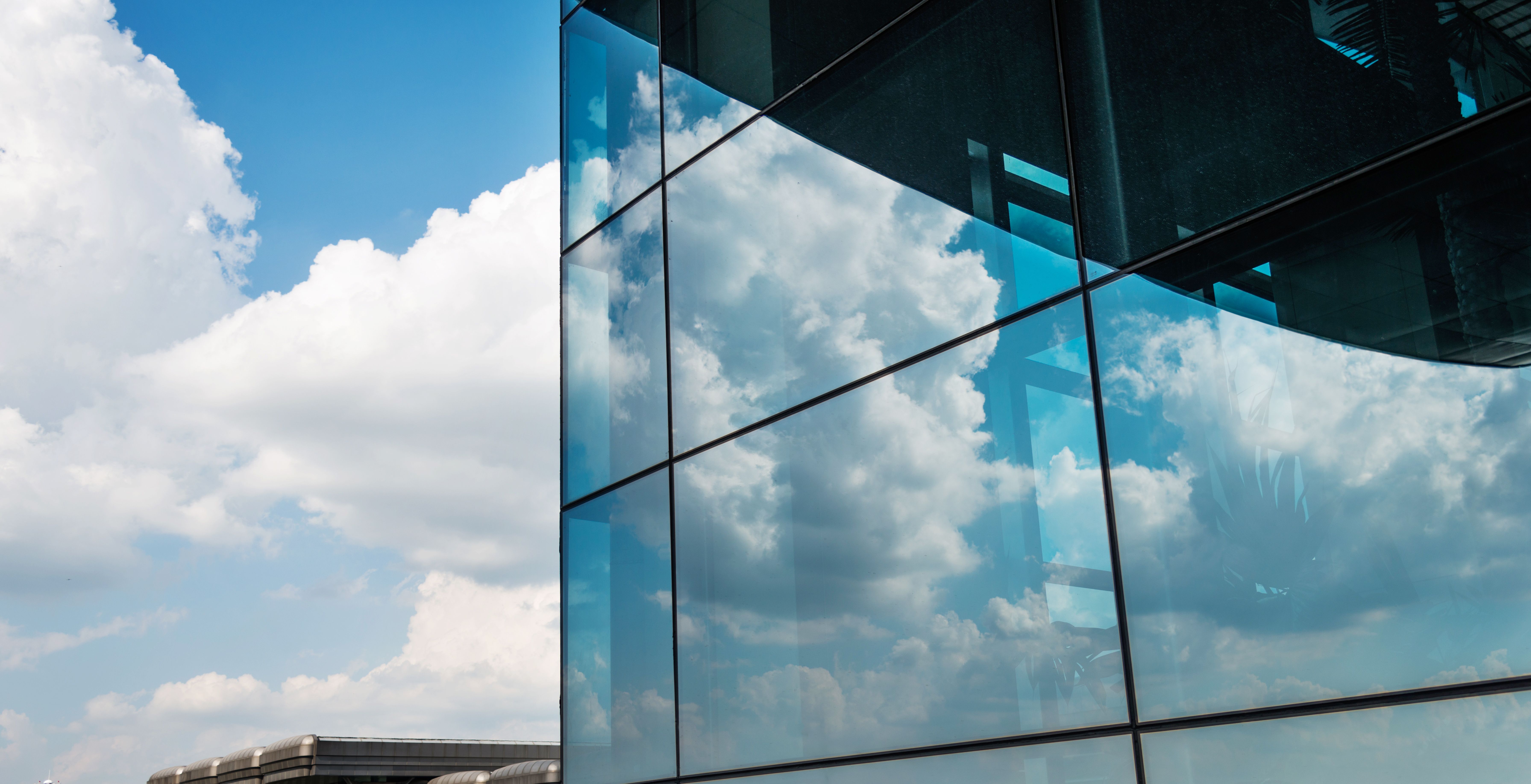 professional window tint