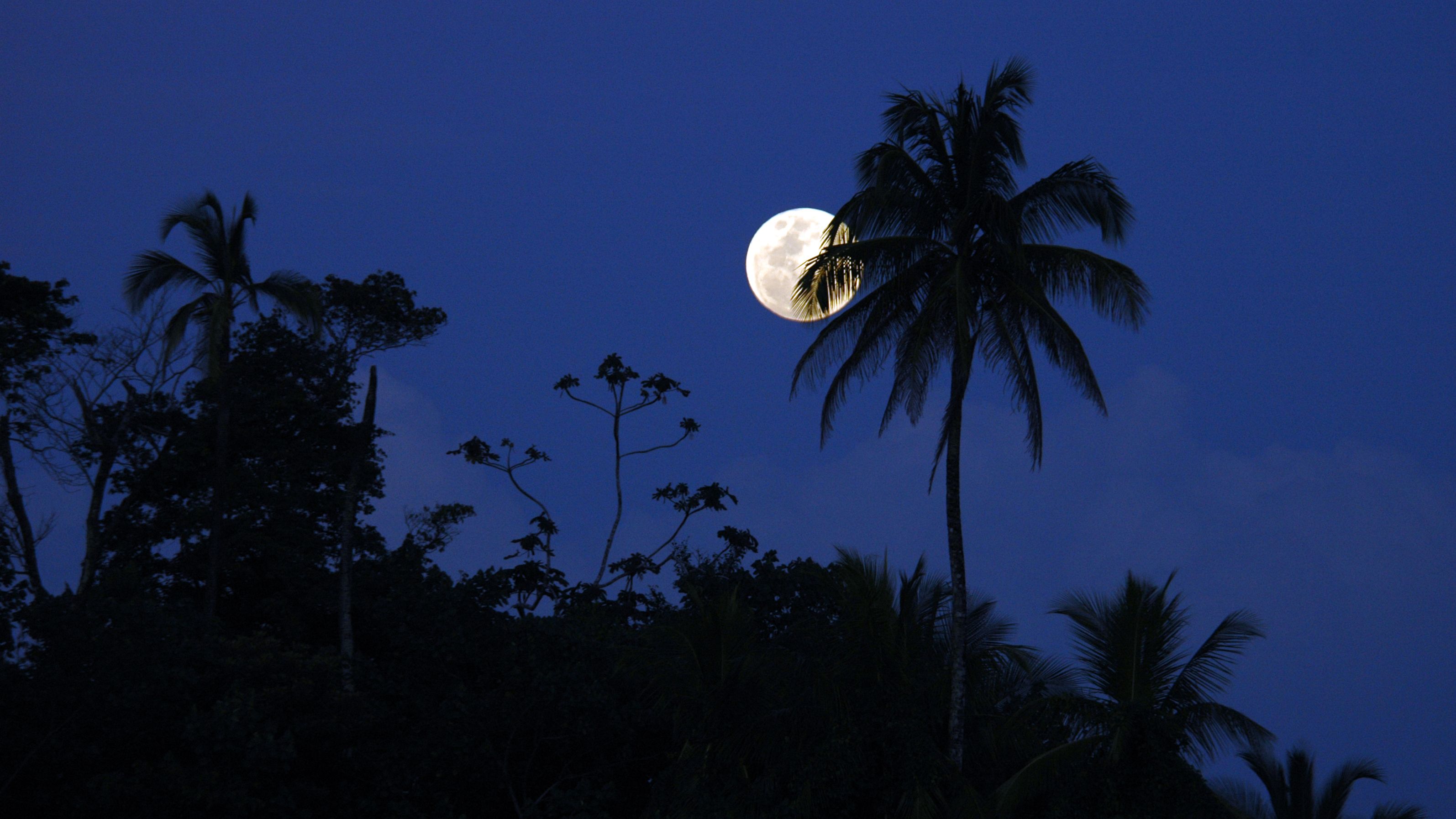 costa rica night