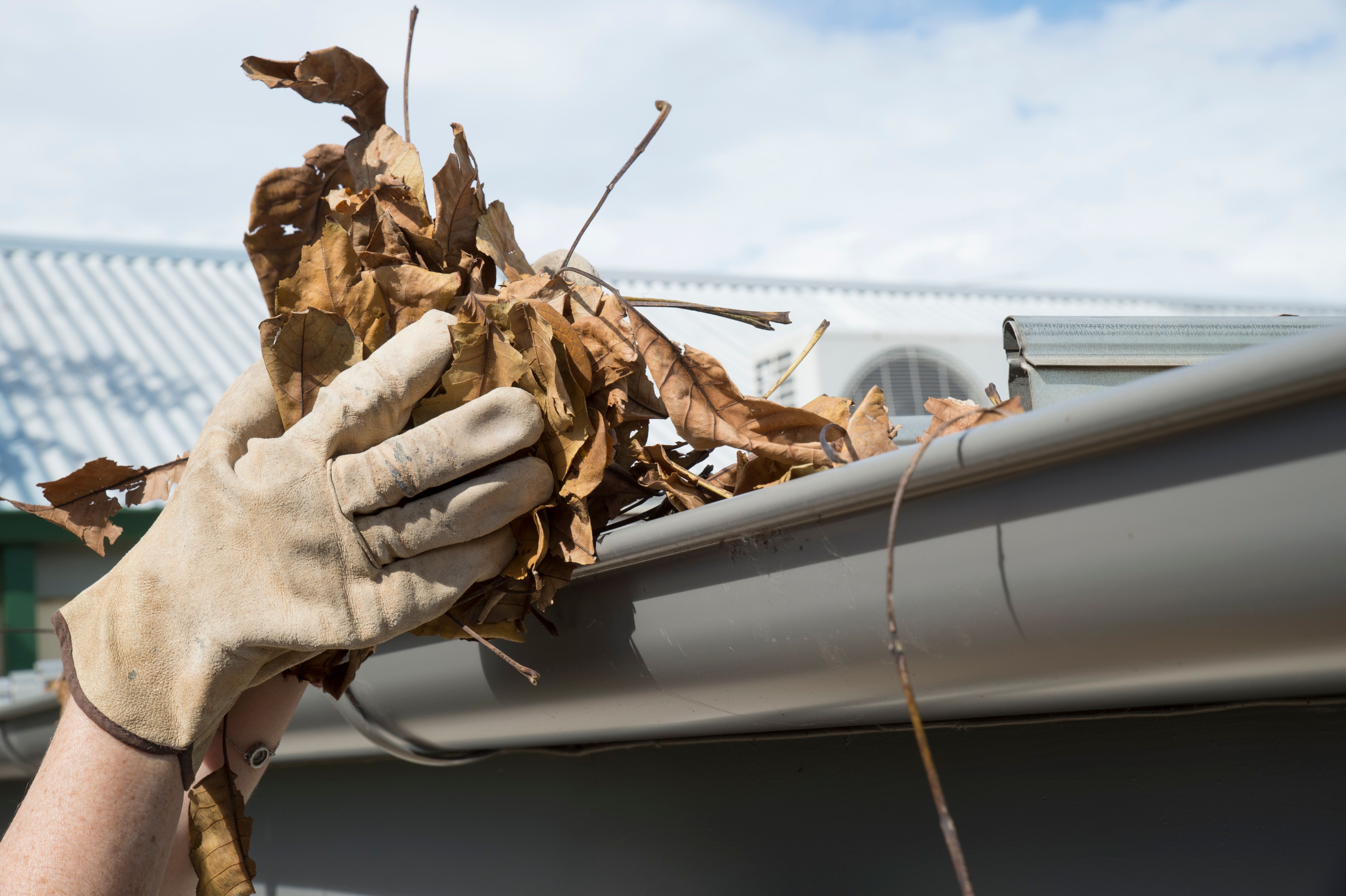cleaning metal siding