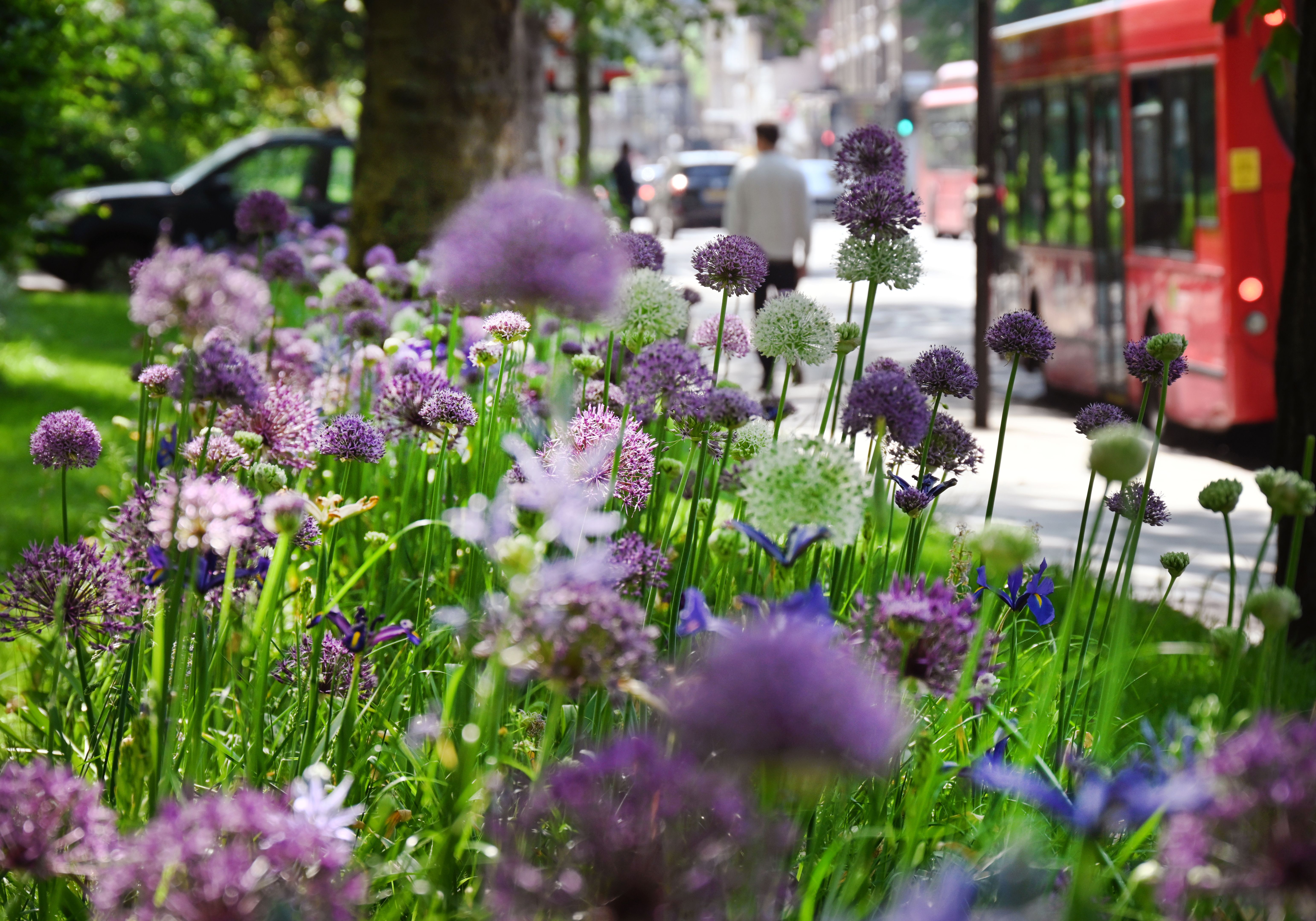 flower festival London