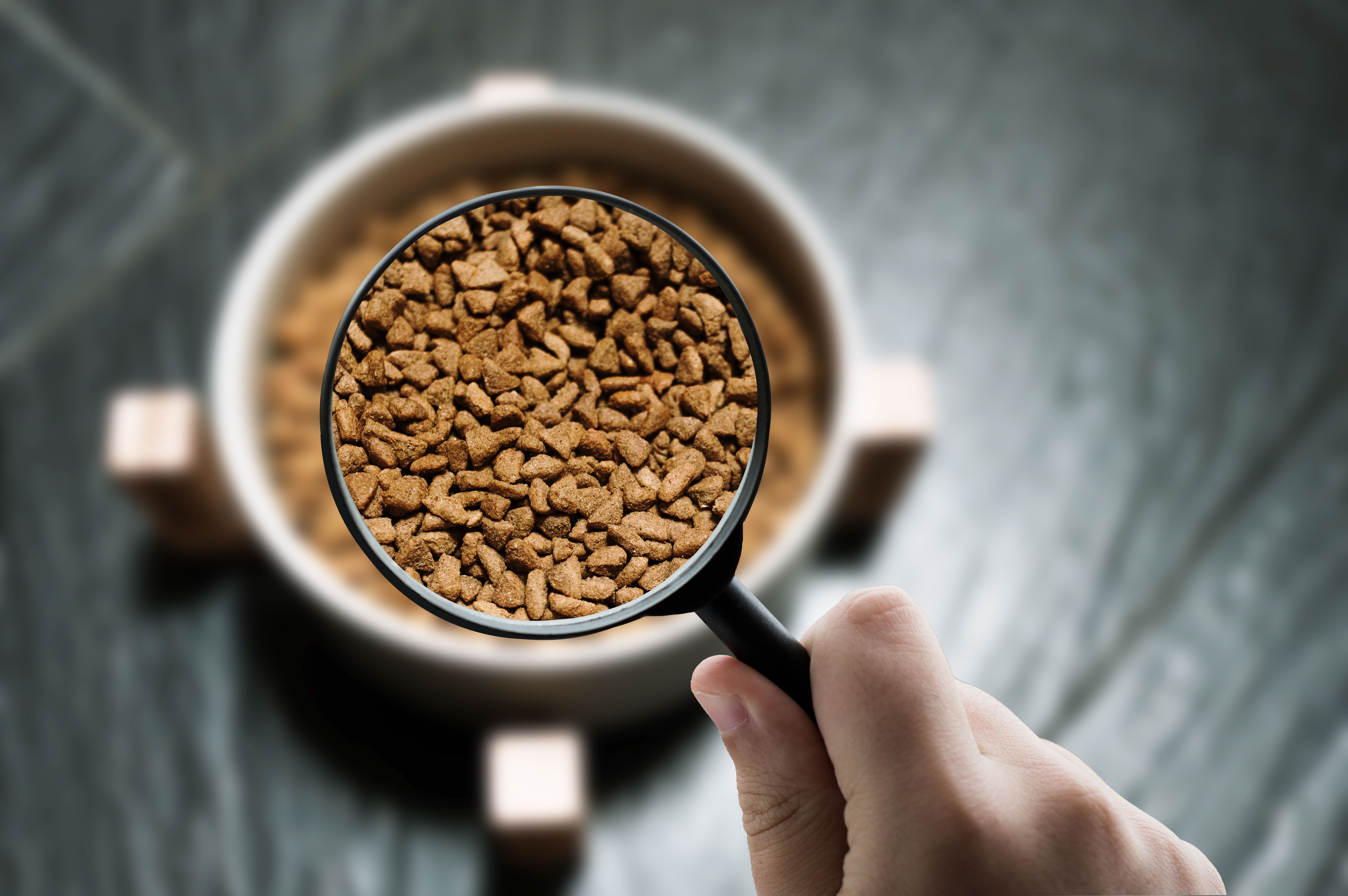 Focusing on pet food