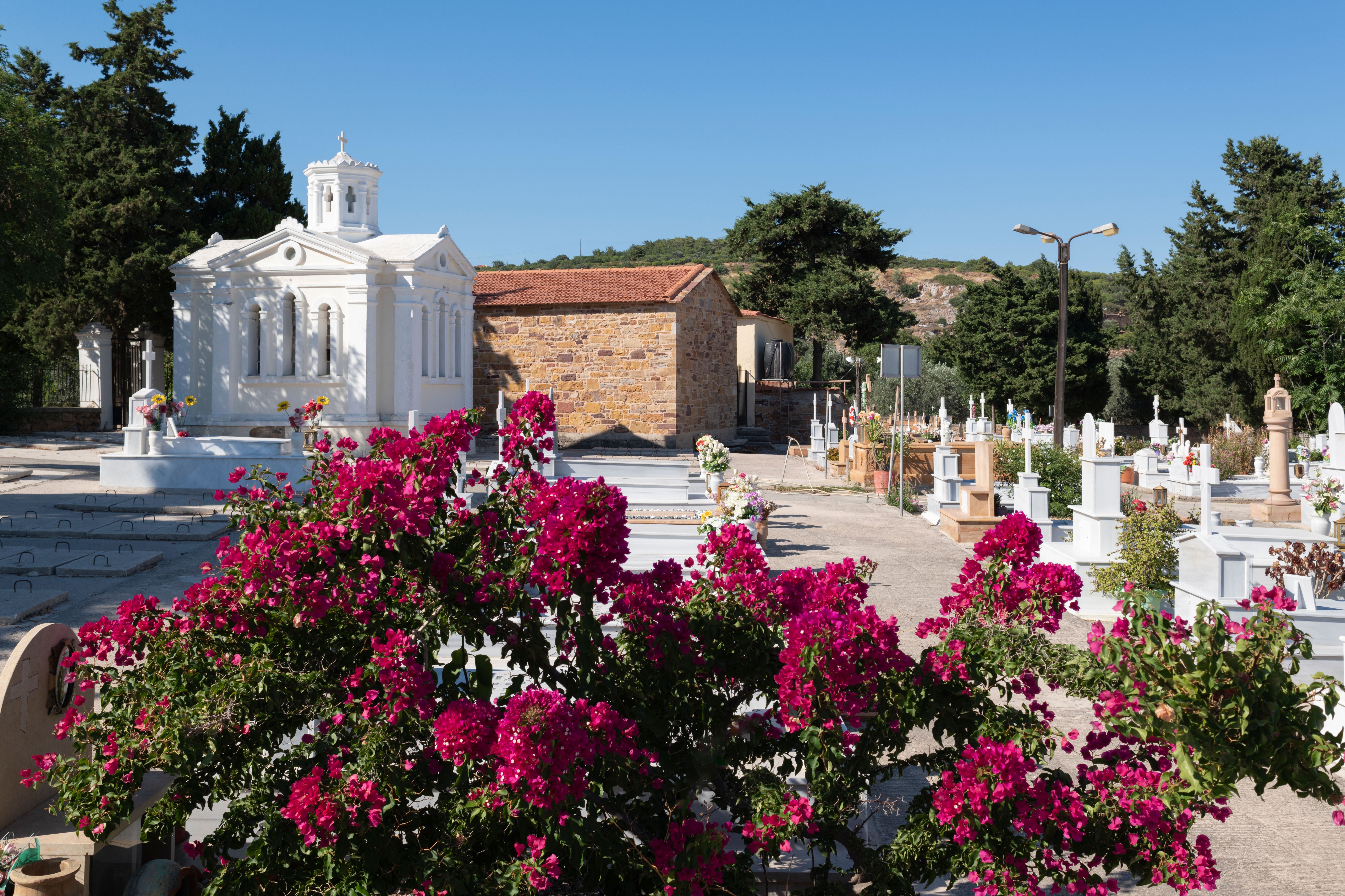 eufaula neighborhood