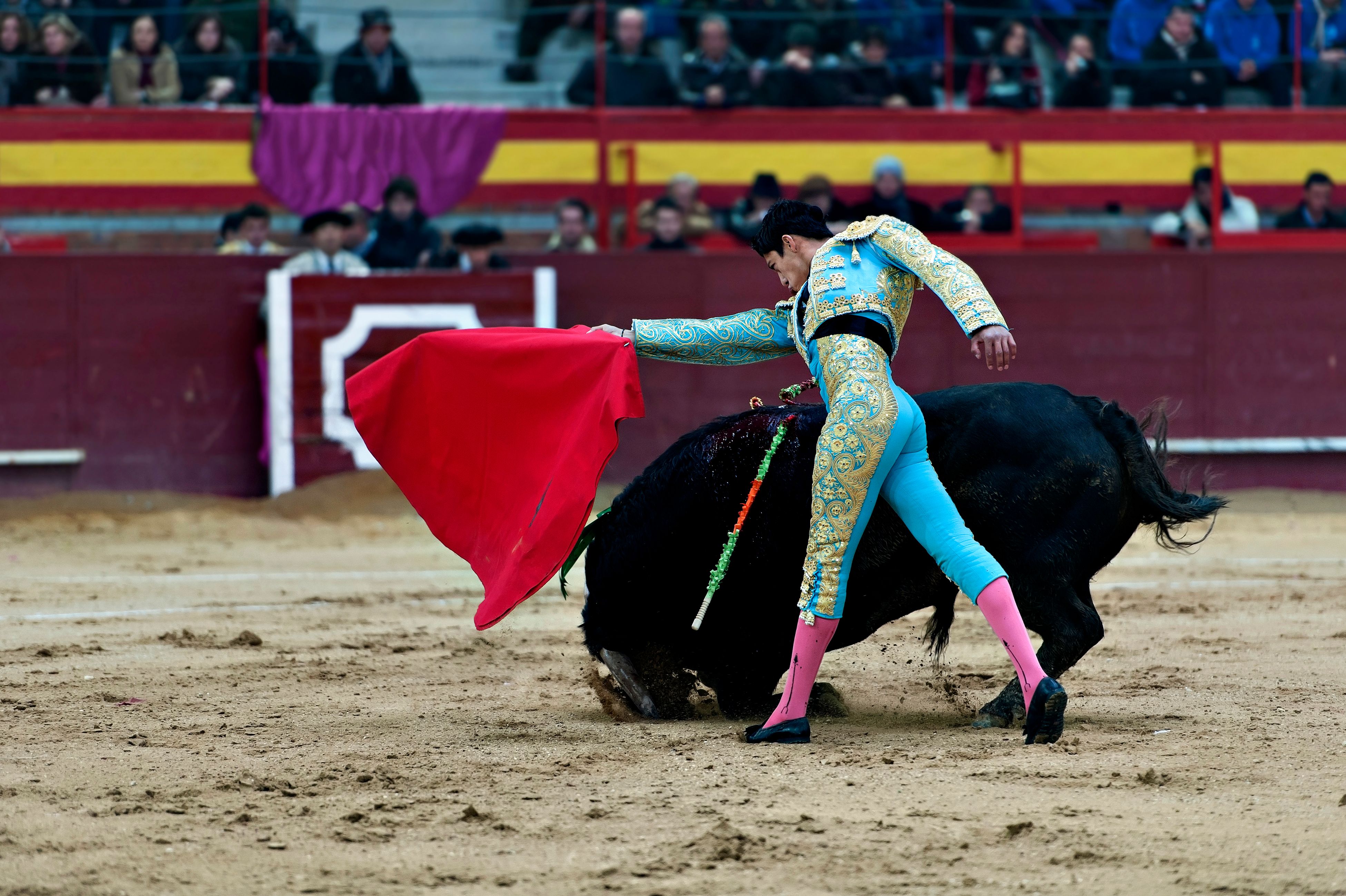 Matador