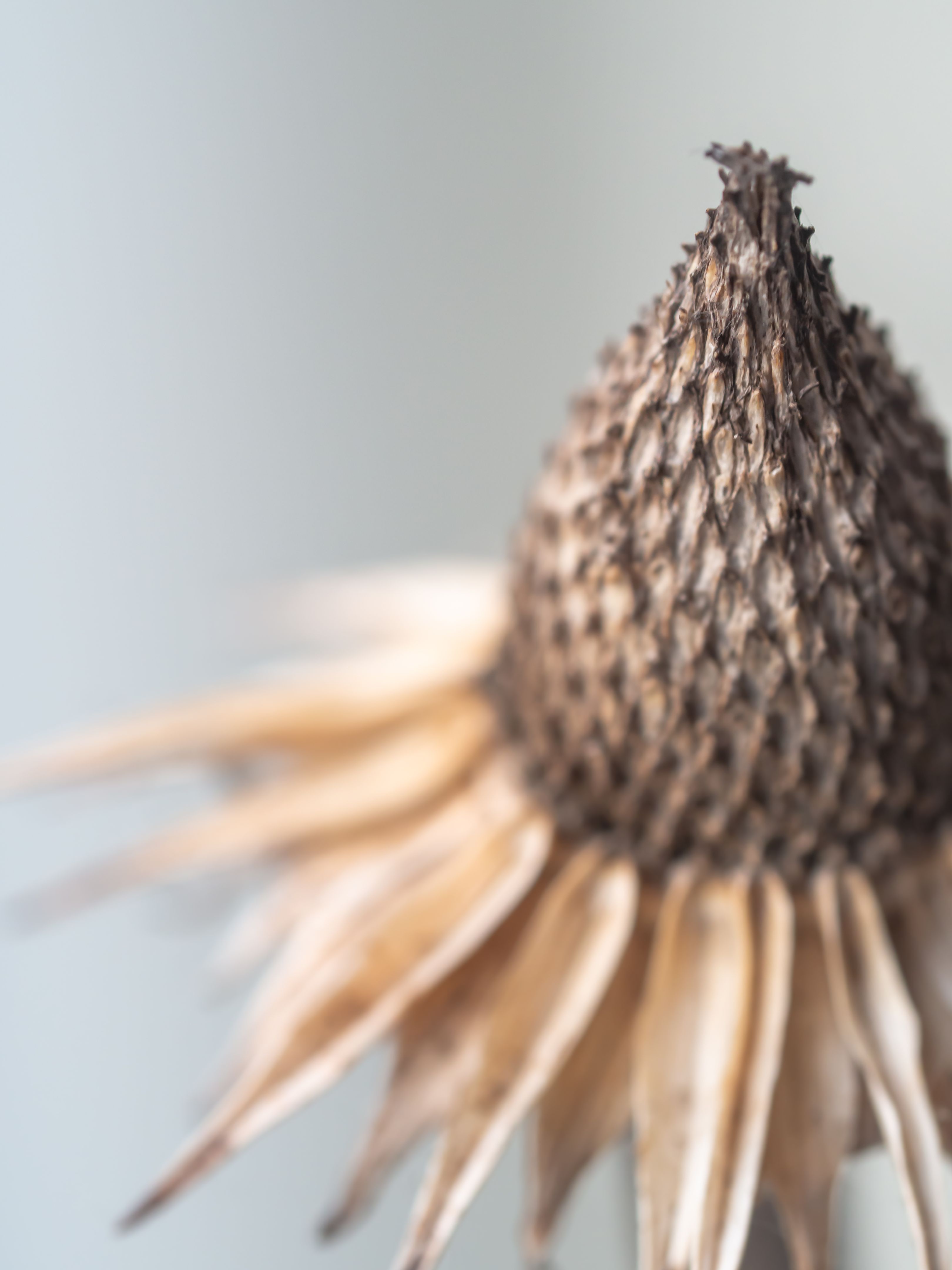 online advertising beauty