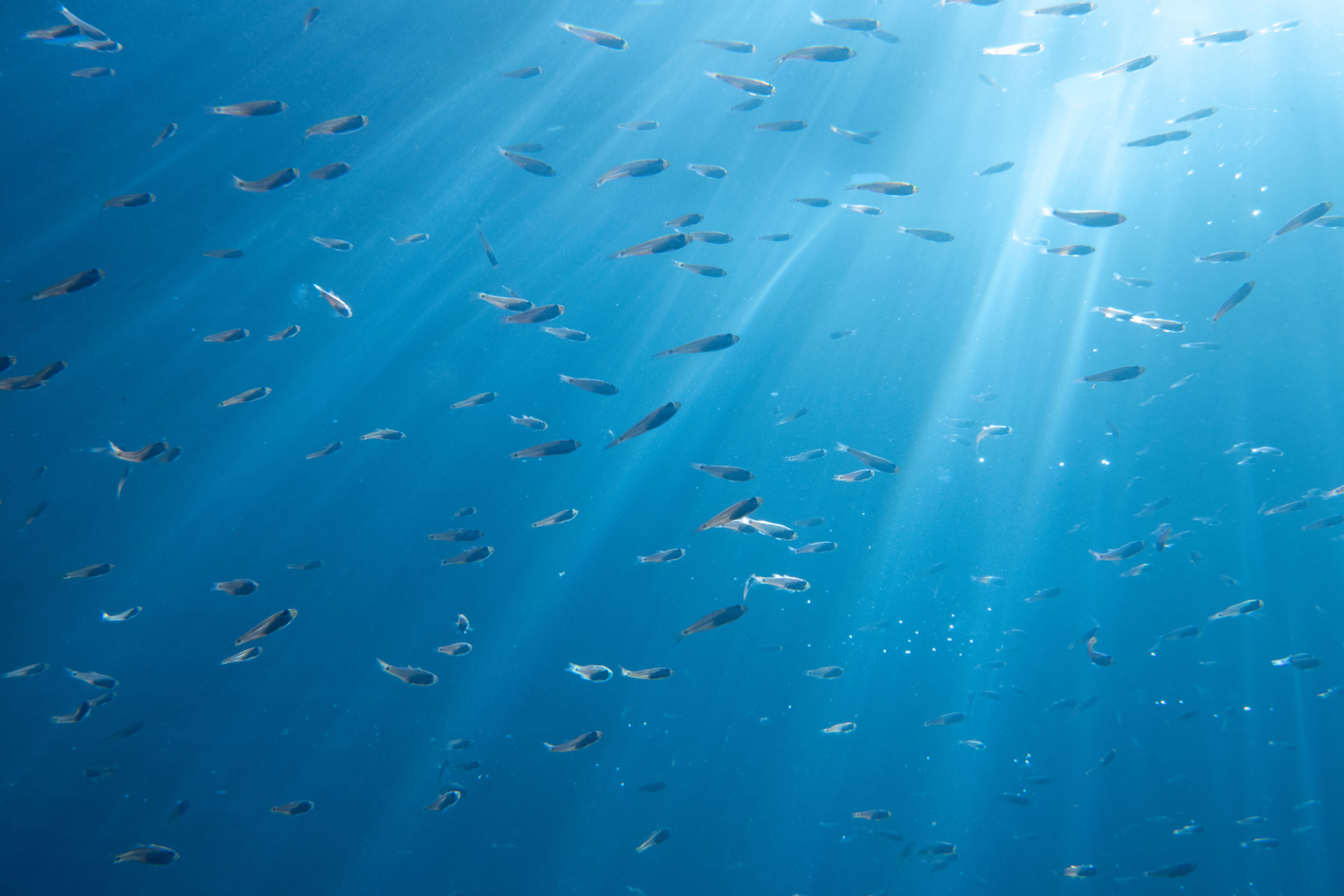 miami website design