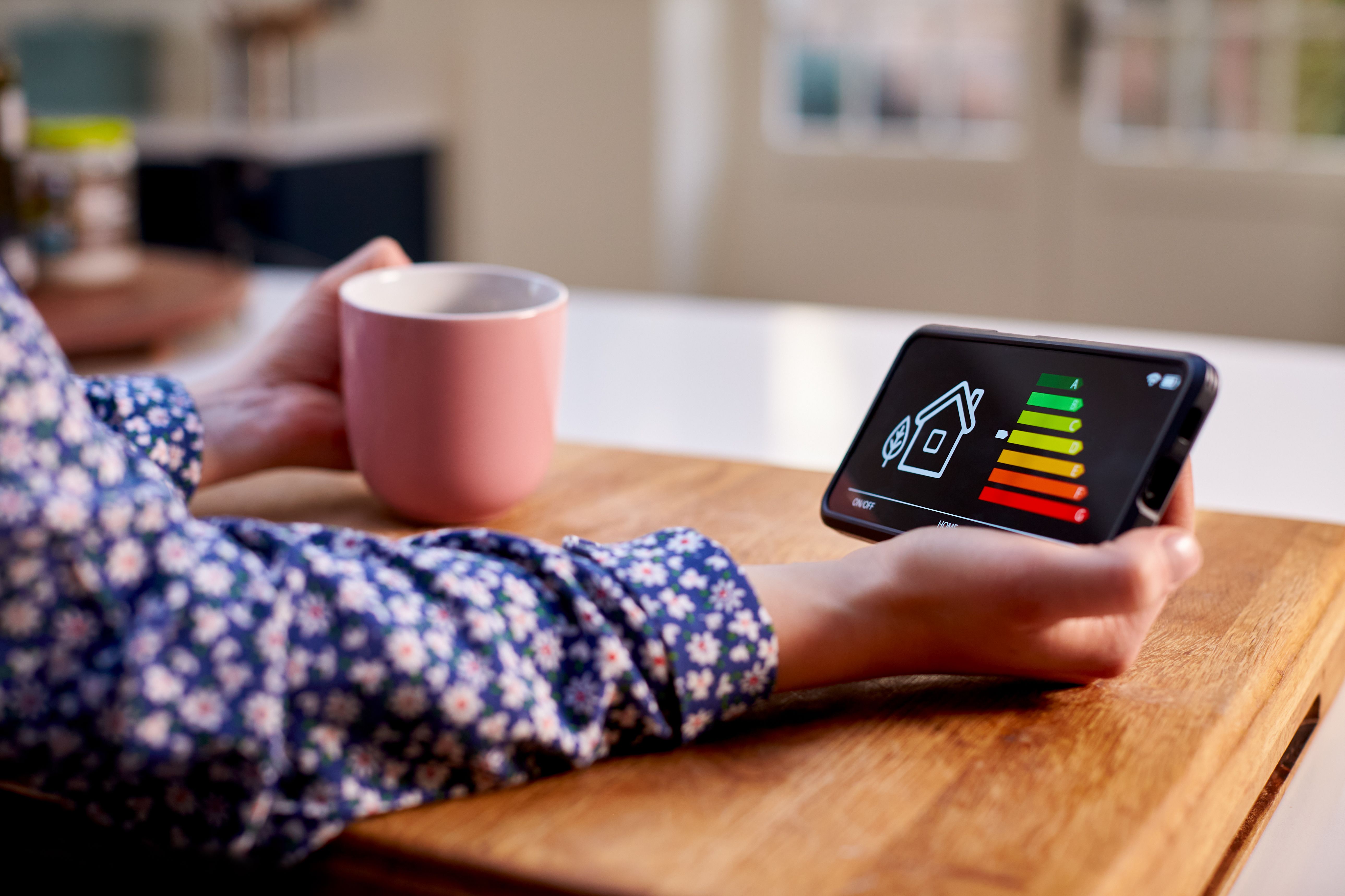 eco-friendly home