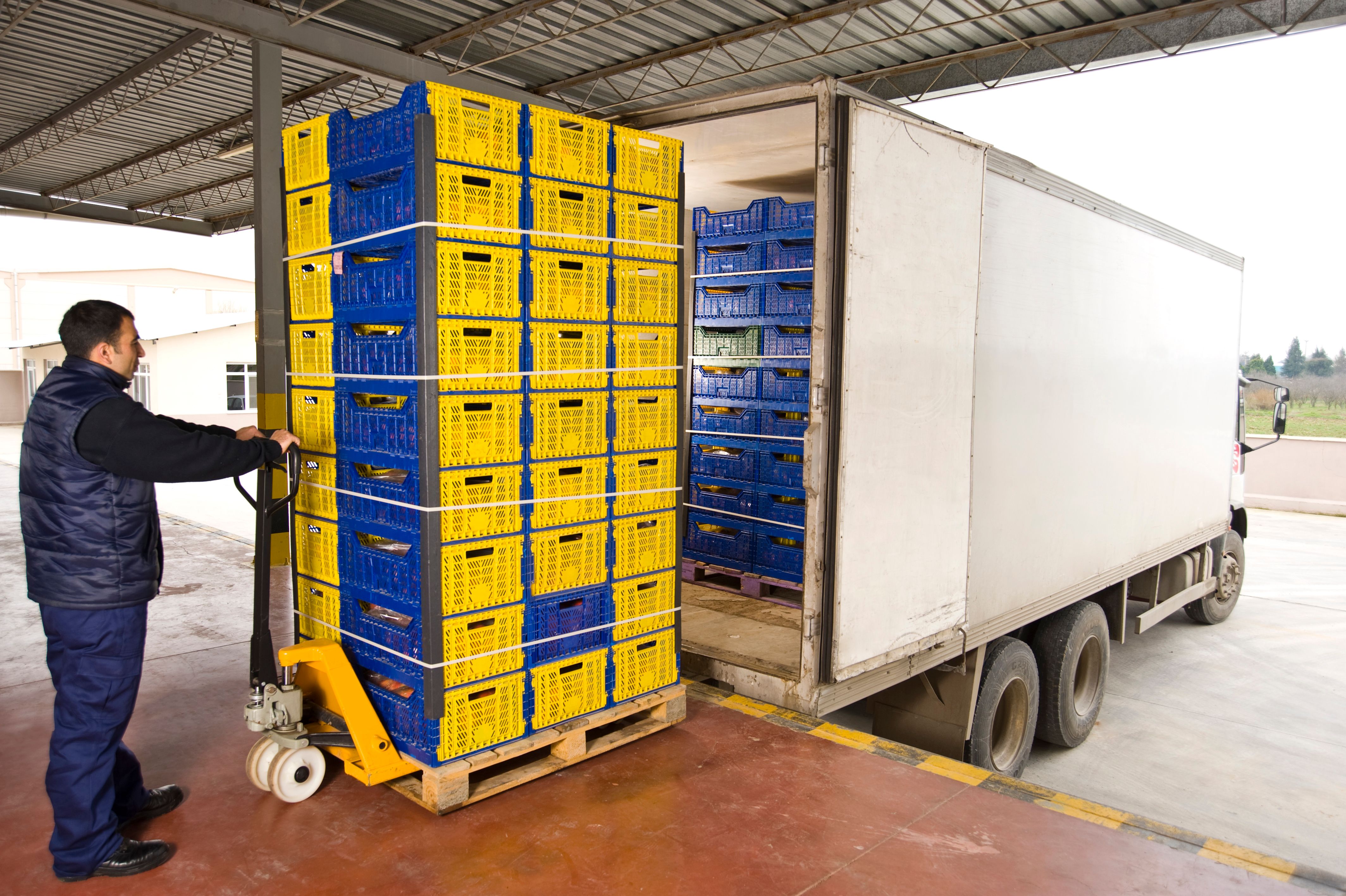 food supply chain