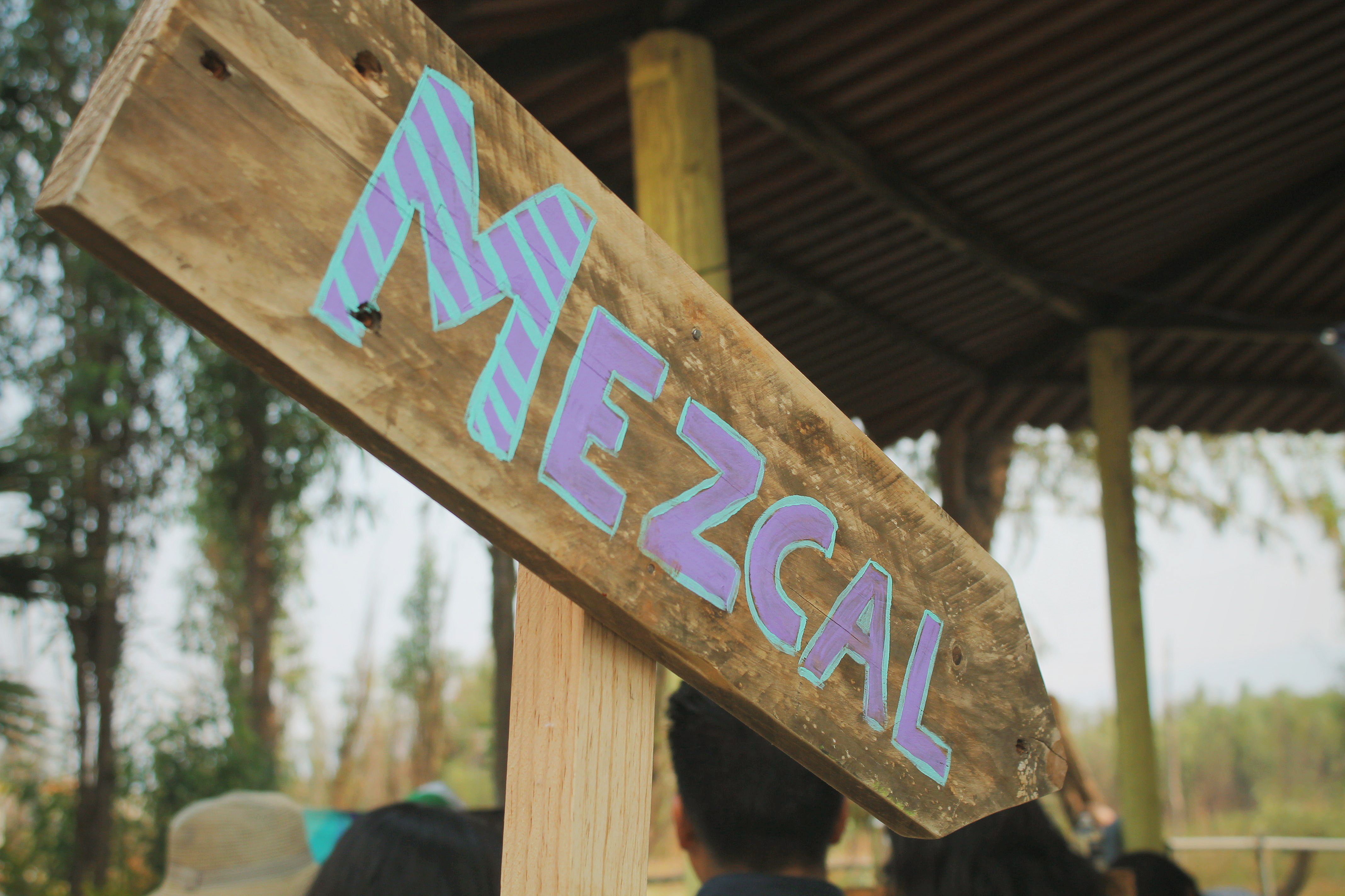 experiencias locales