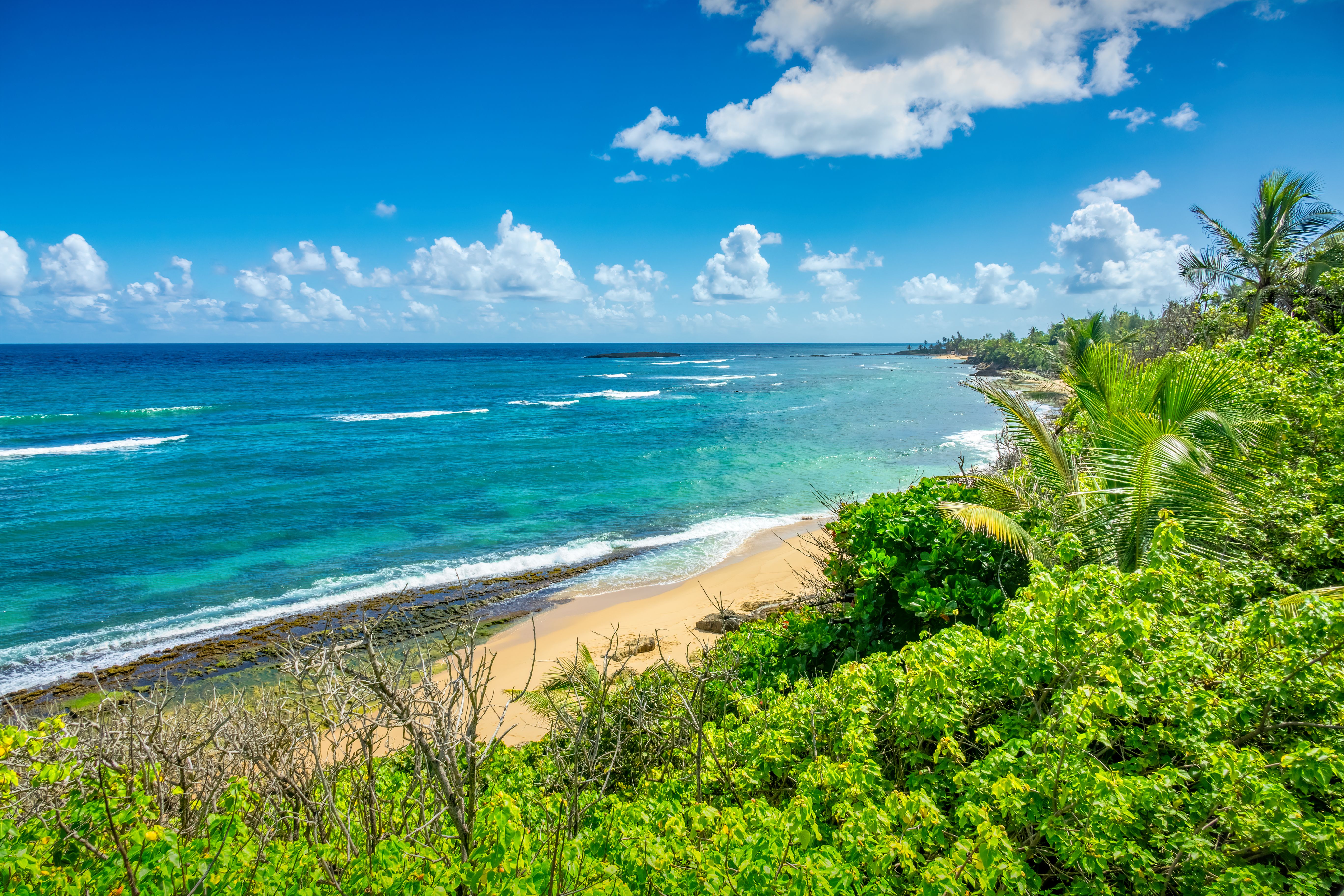 Puerto Rico Tropical Beach