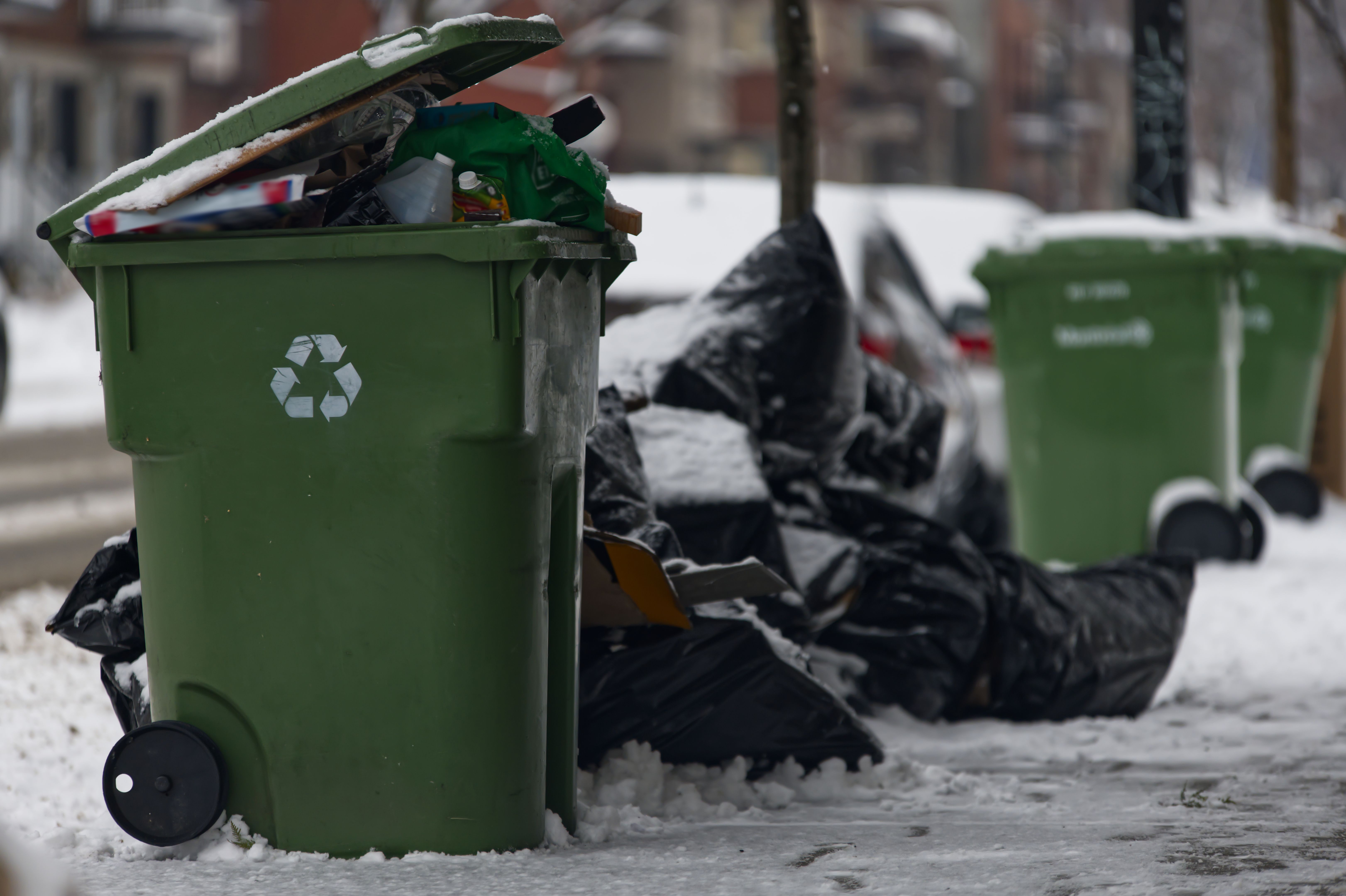 snow covered bins