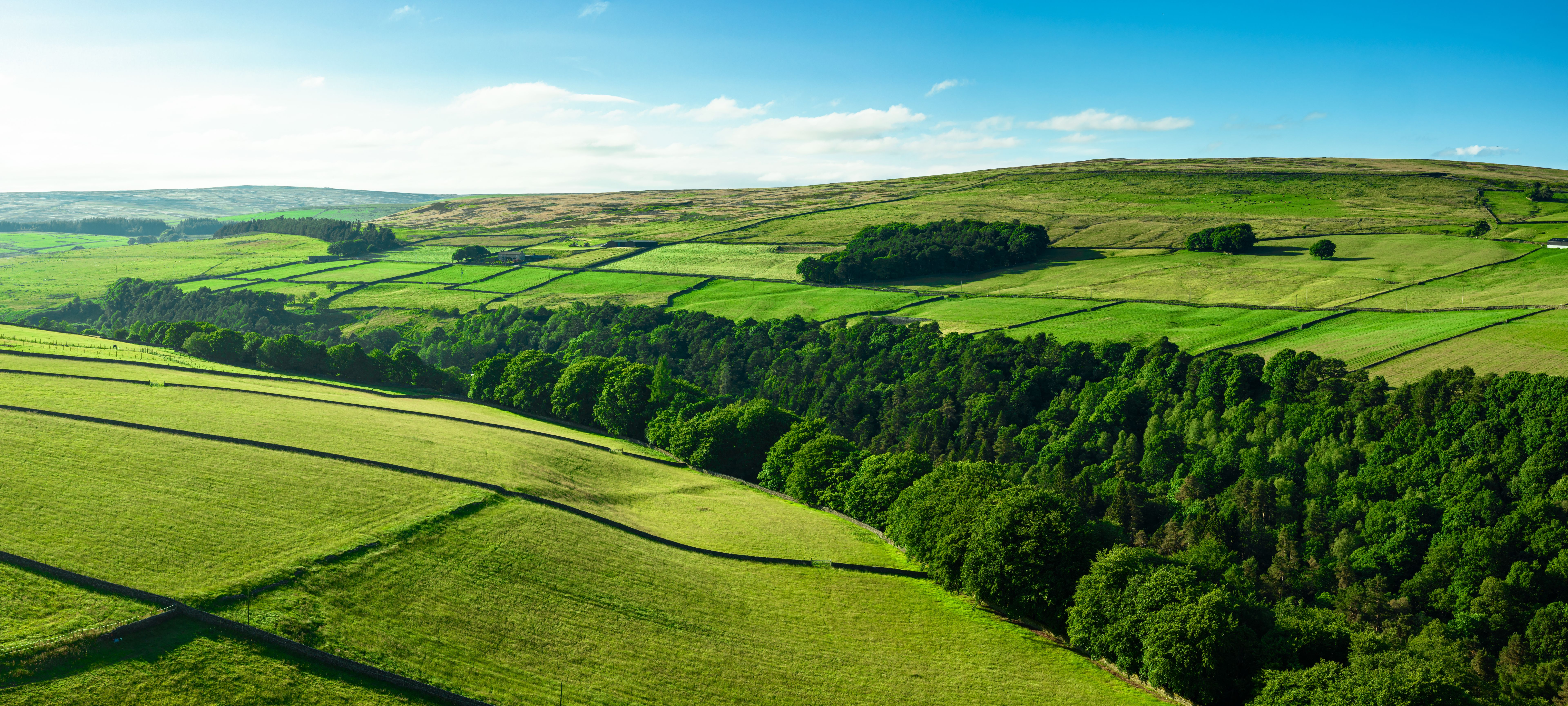 hills and dales estate