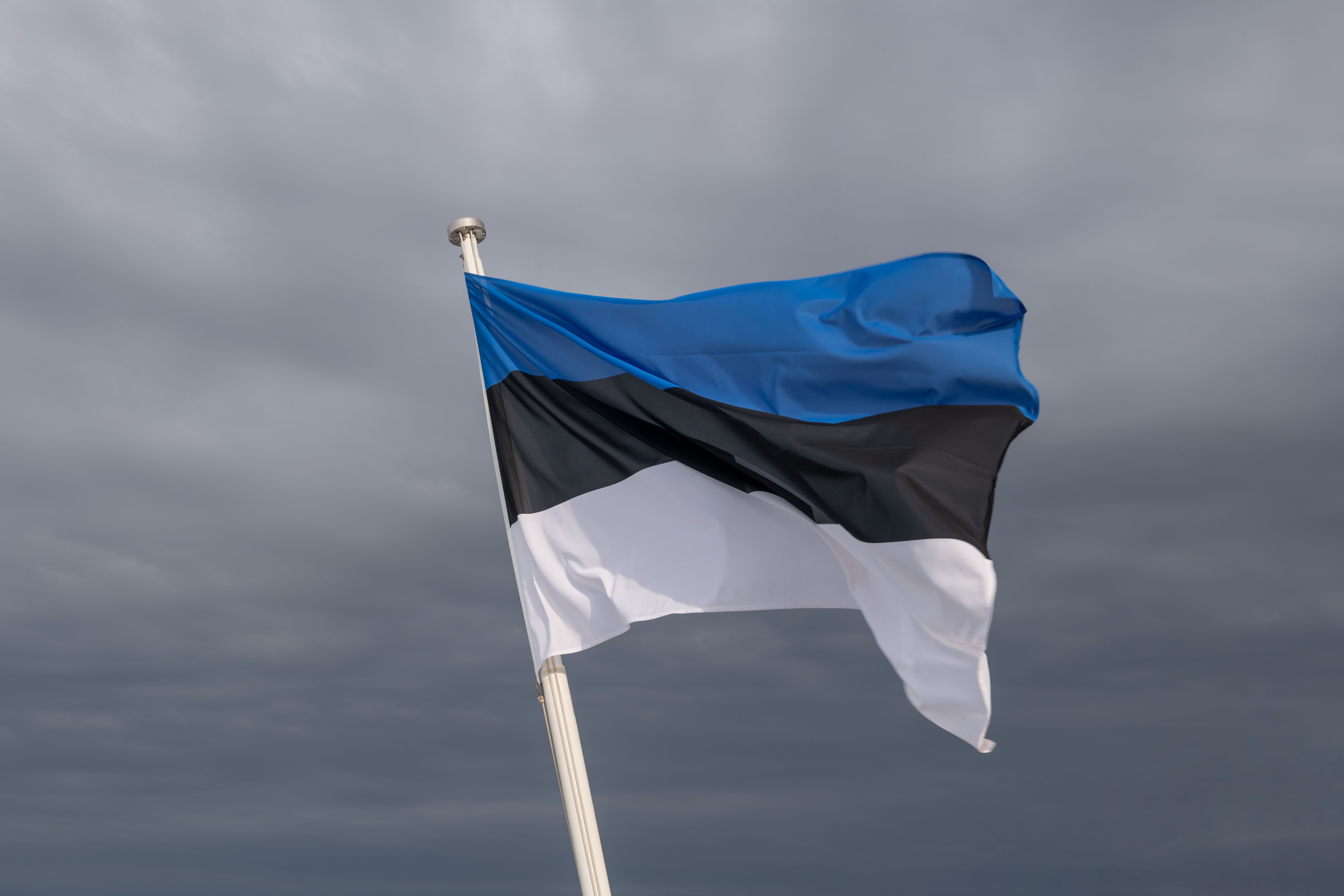 estonian flag