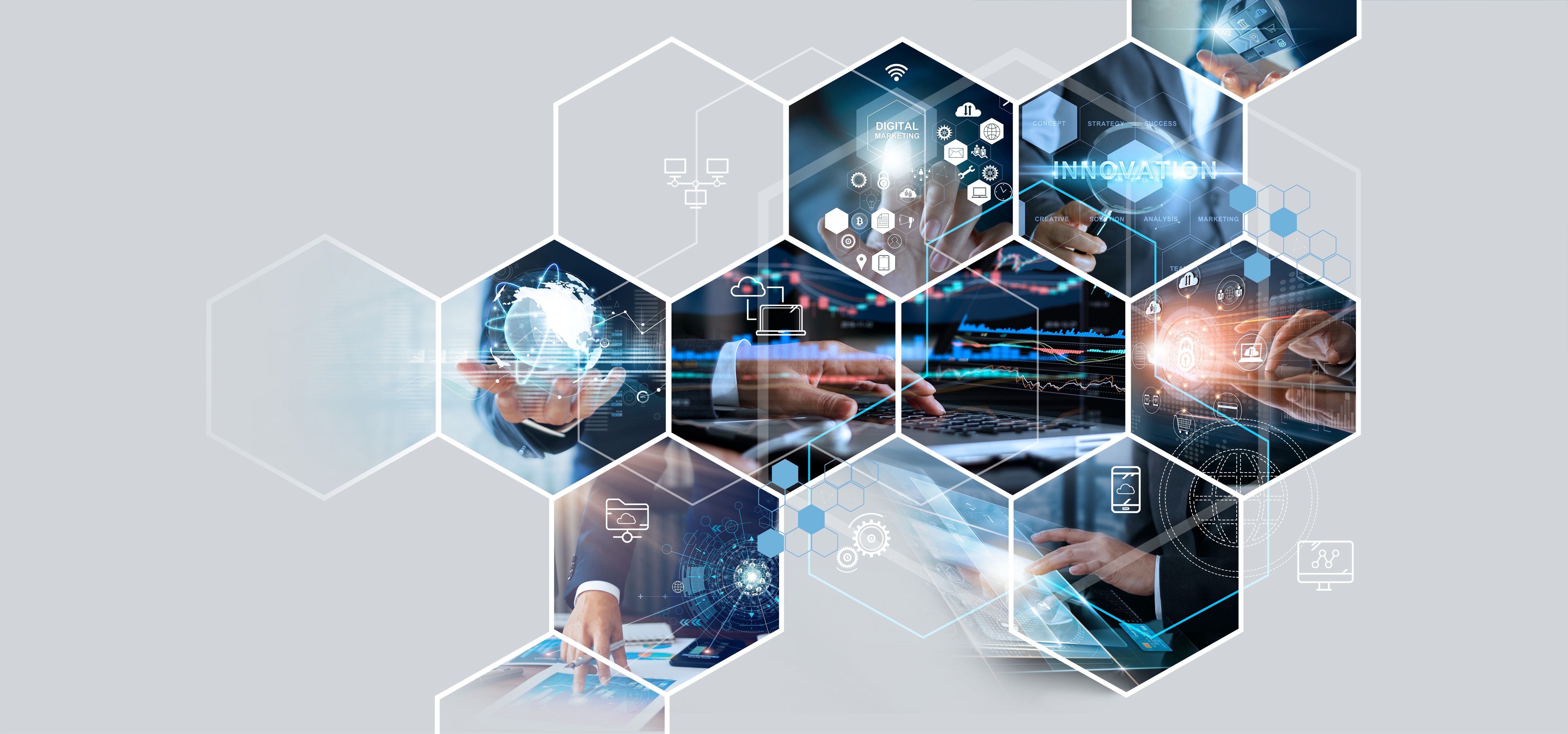 digital transformation team