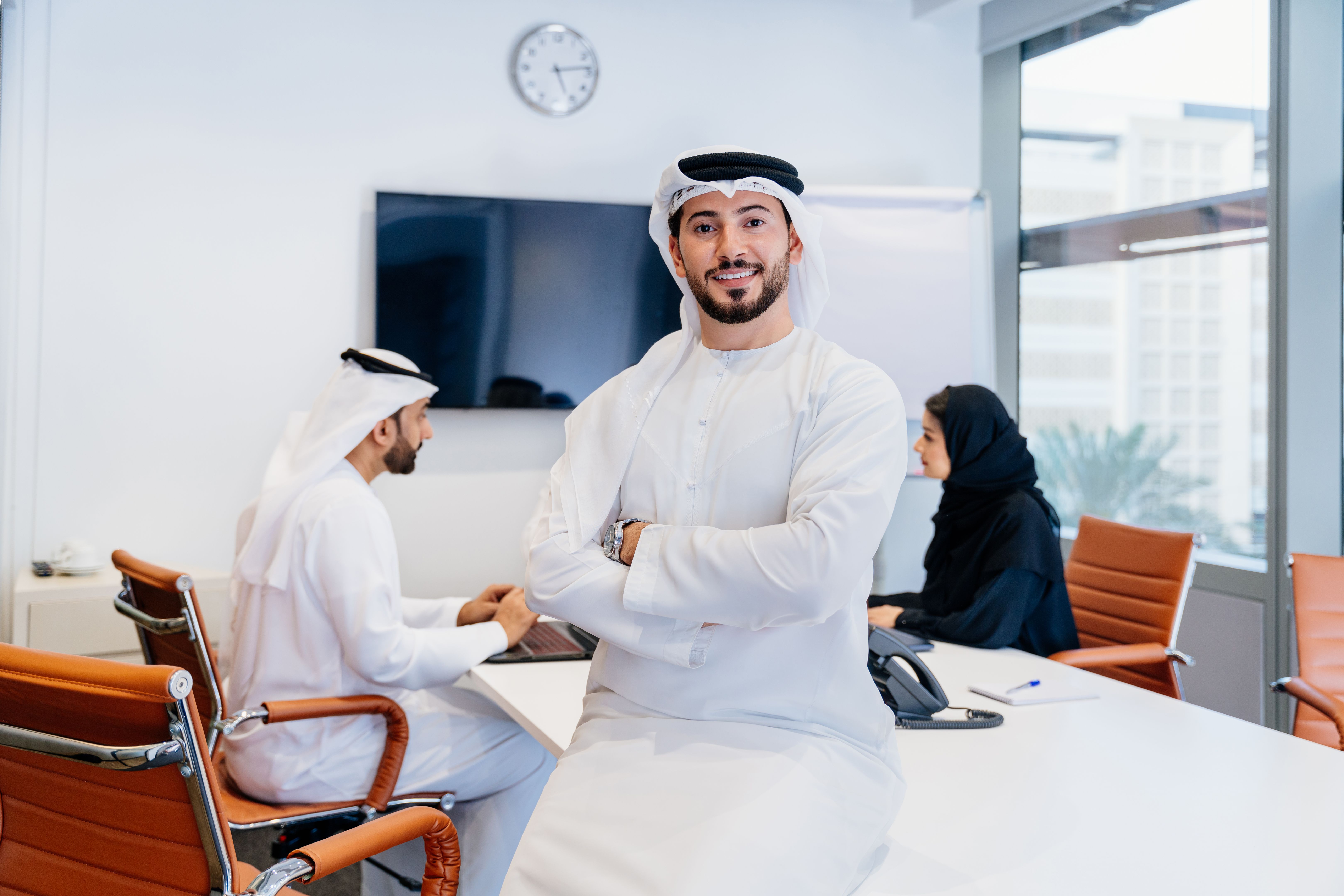 UAE government meeting