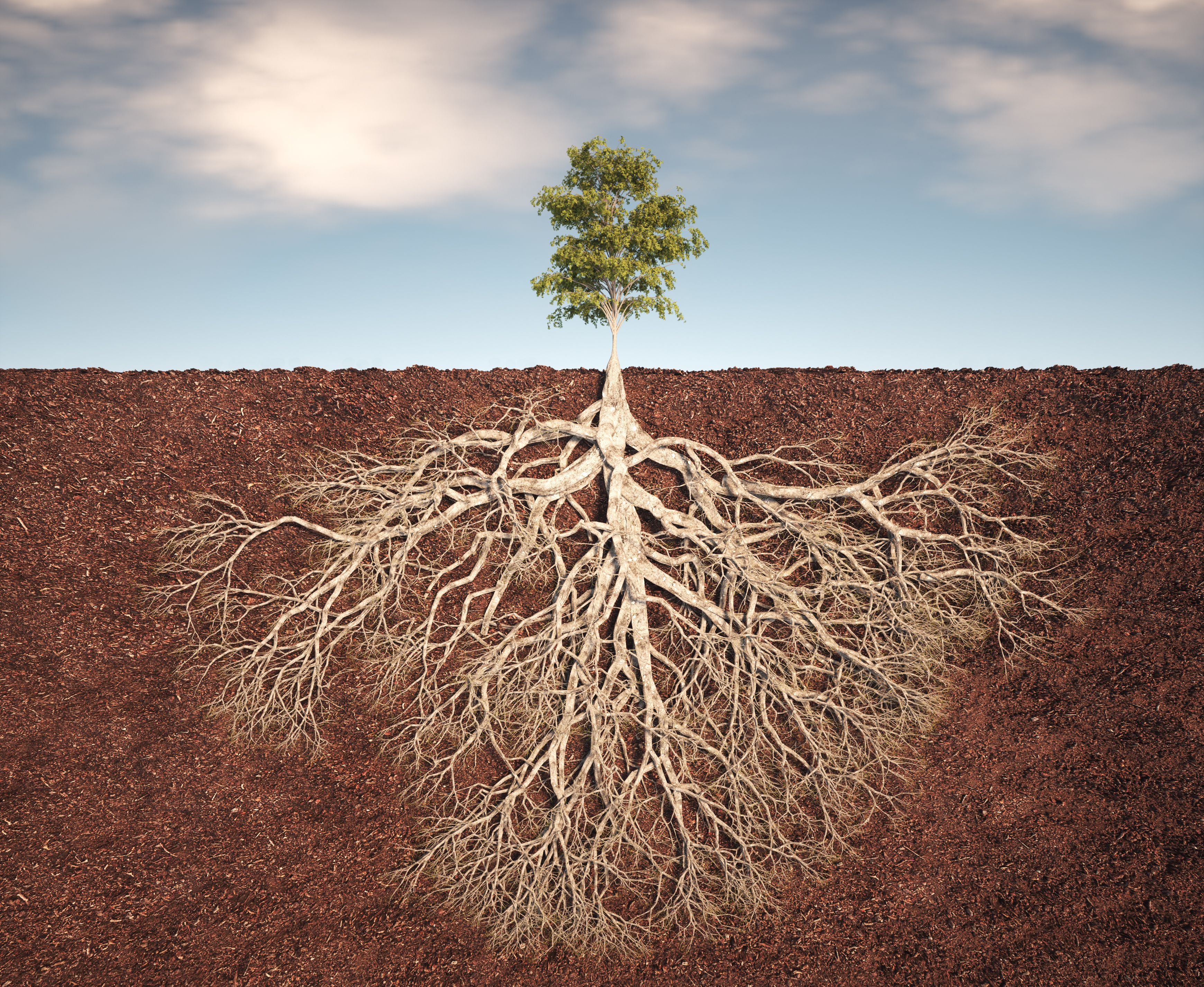 economic growth